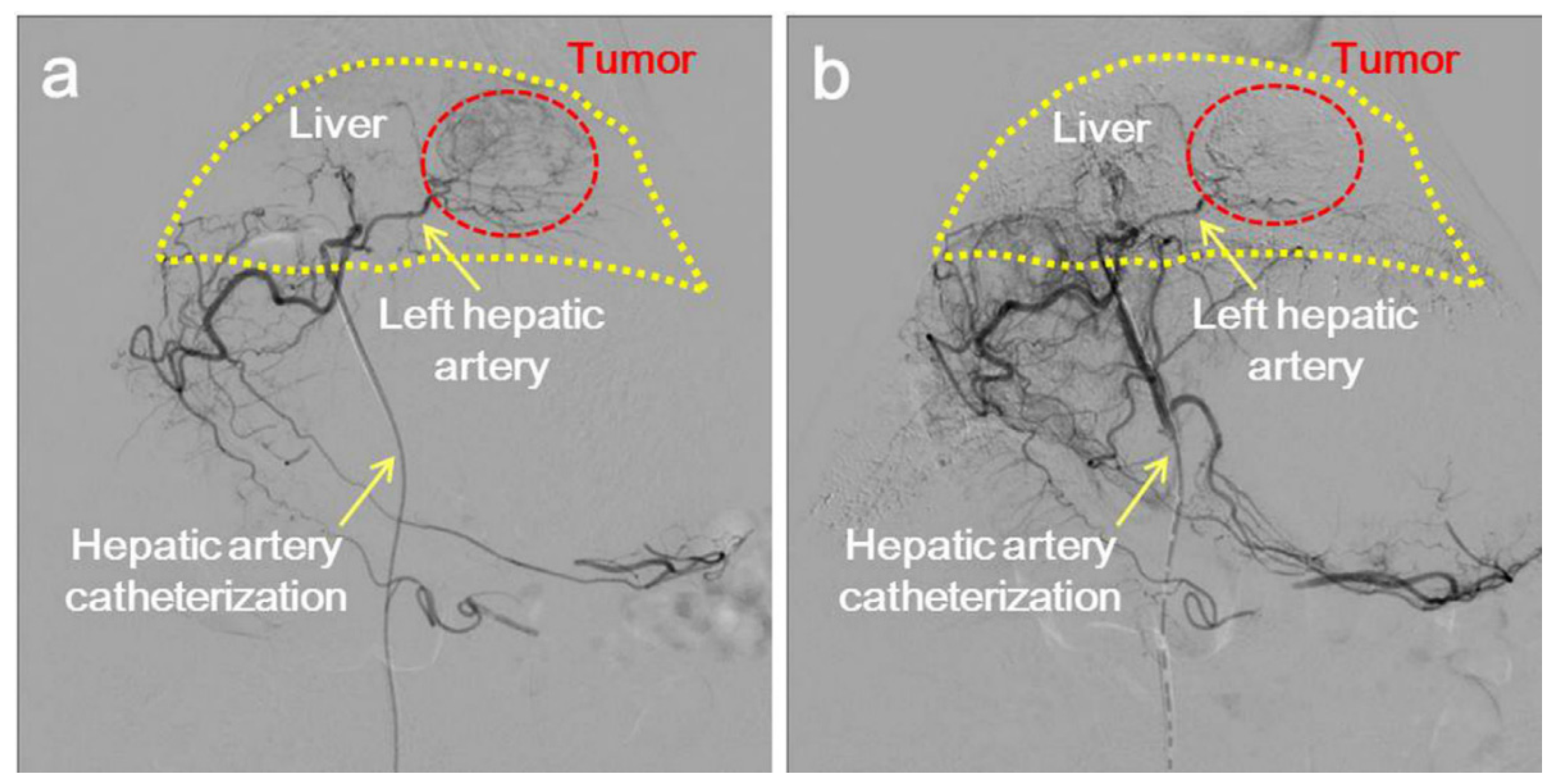 Pharmaceutics 14 01760 g008 550