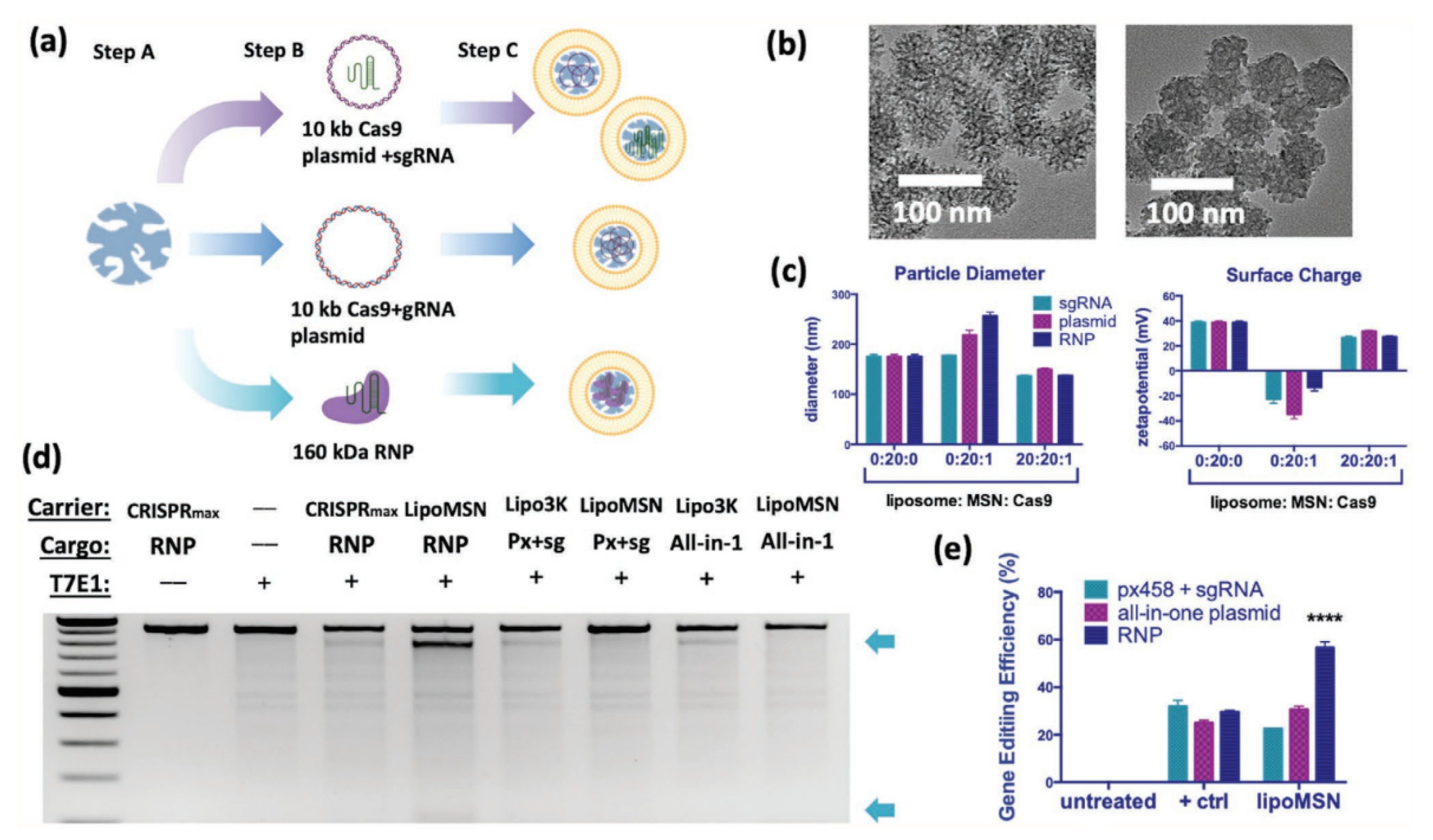 Pharmaceutics 14 01760 g009 550