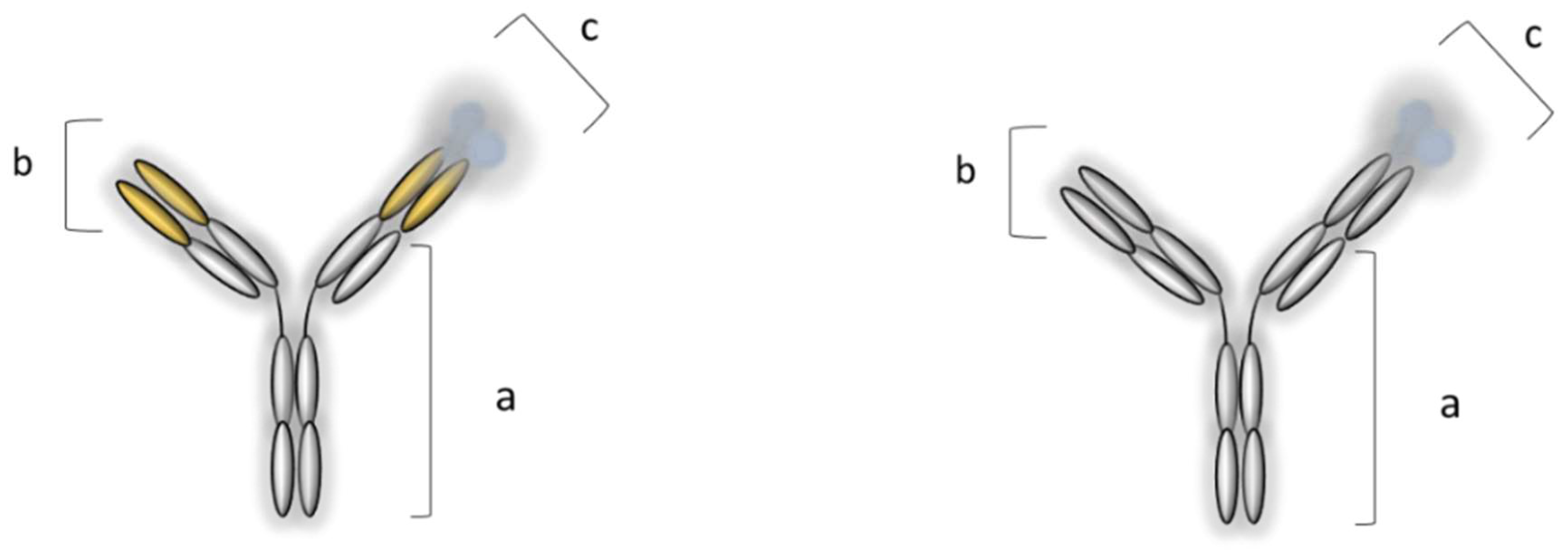 Pharmaceutics 14 01766 g004 Pharmaceutics 14 01766 g004