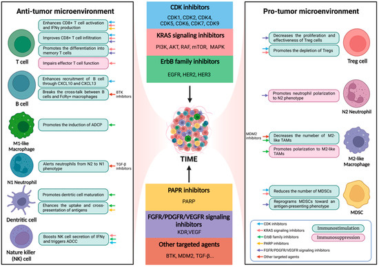 Pharmaceutics | Free Full-Text | Immune Modulatory Effects of