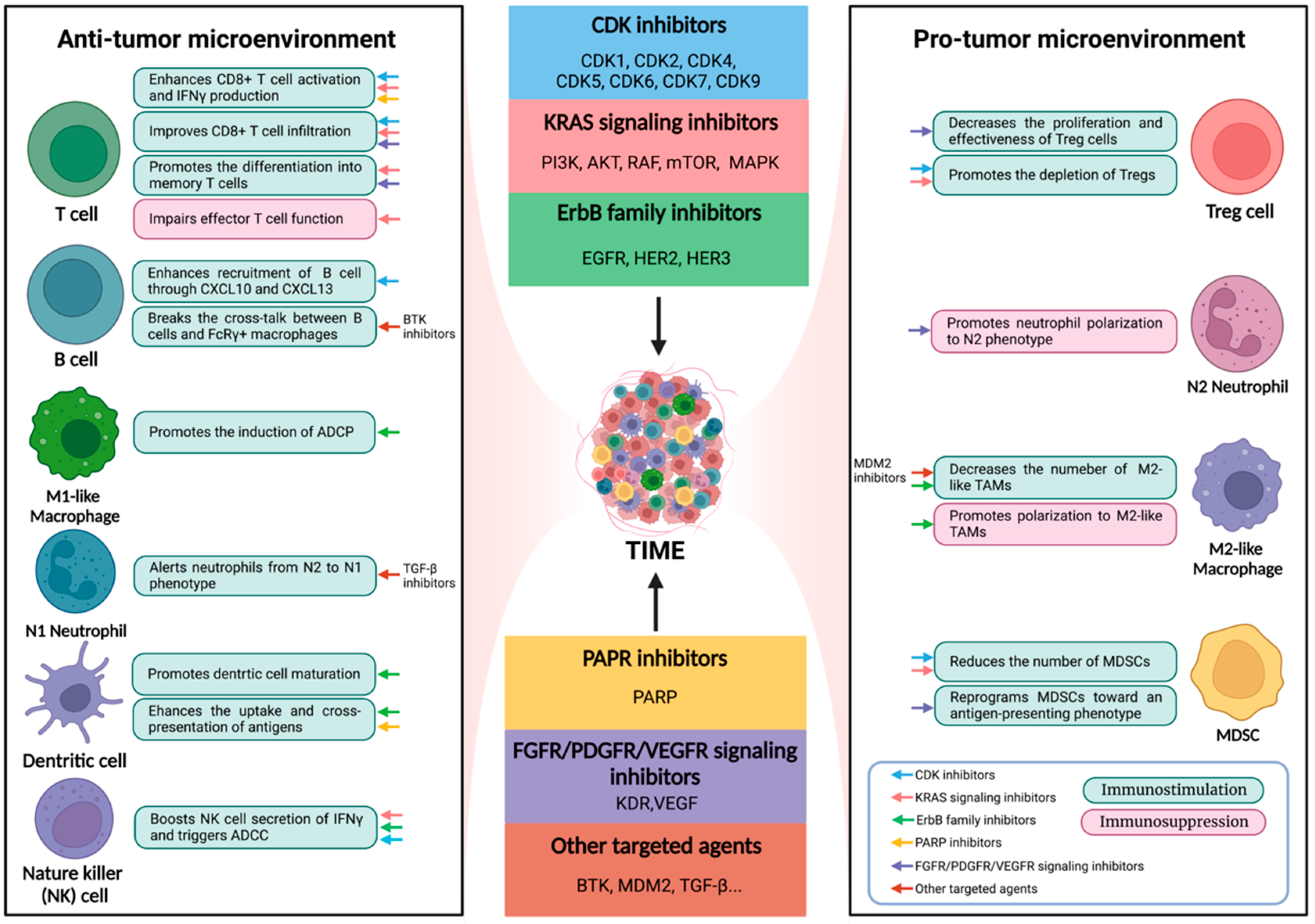 Pharmaceutics 14 01768 g001