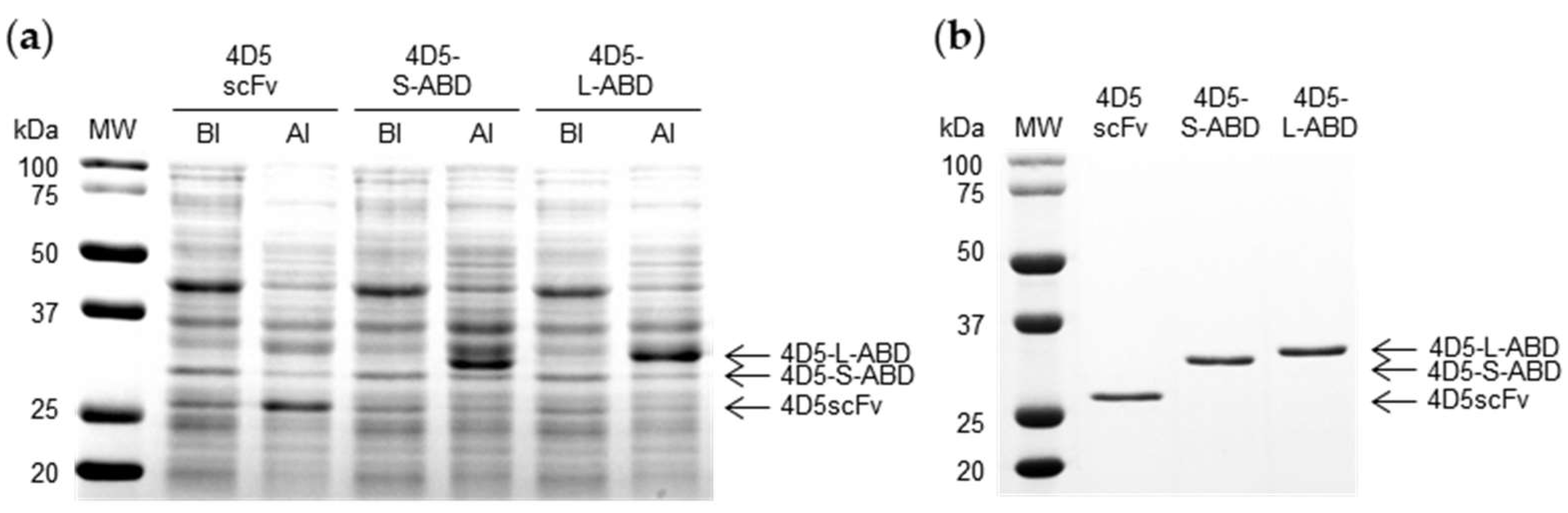 Pharmaceutics 14 01769 g002