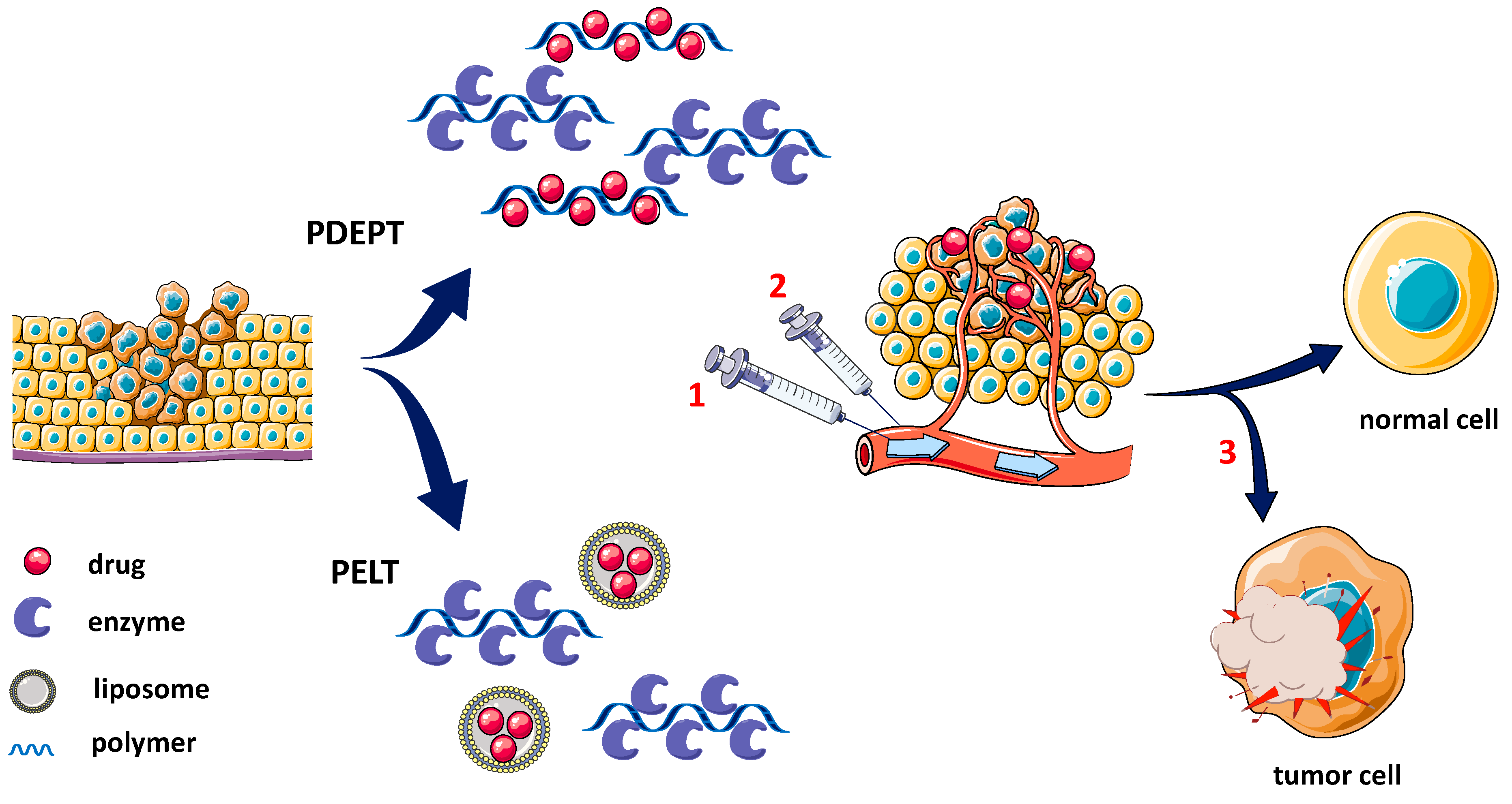 Pharmaceutics 14 01773 g001