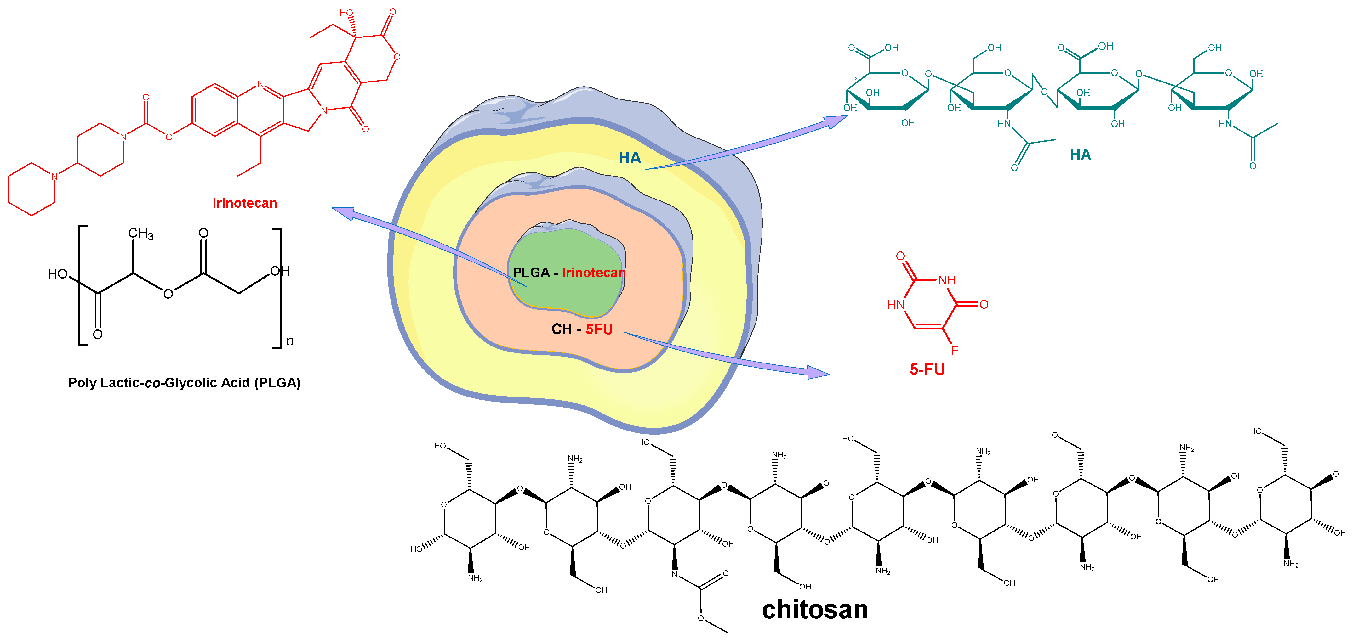 Pharmaceutics 14 01773 g007