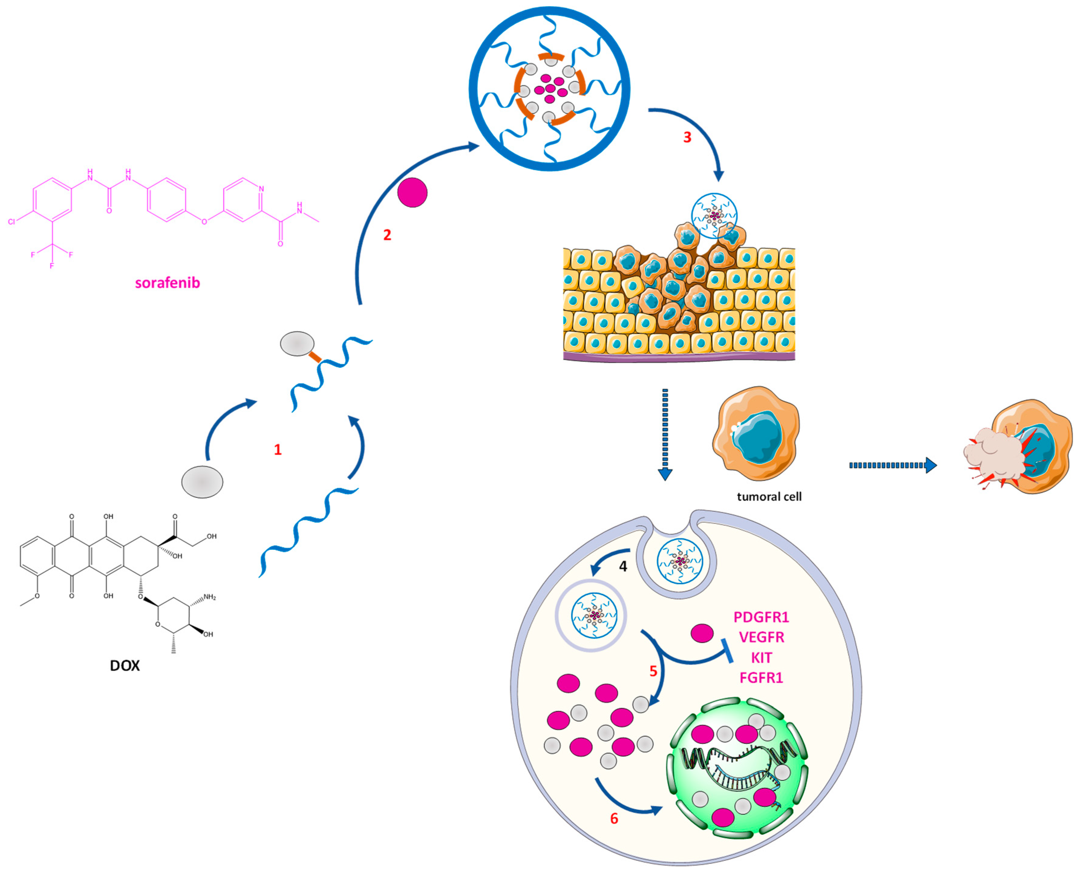 Pharmaceutics 14 01773 g011