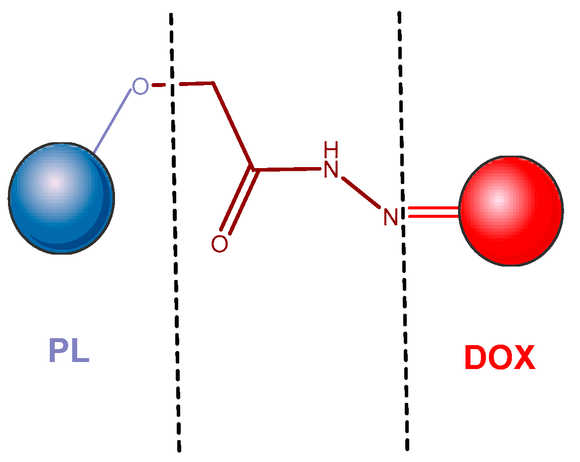Pharmaceutics 14 01773 g012