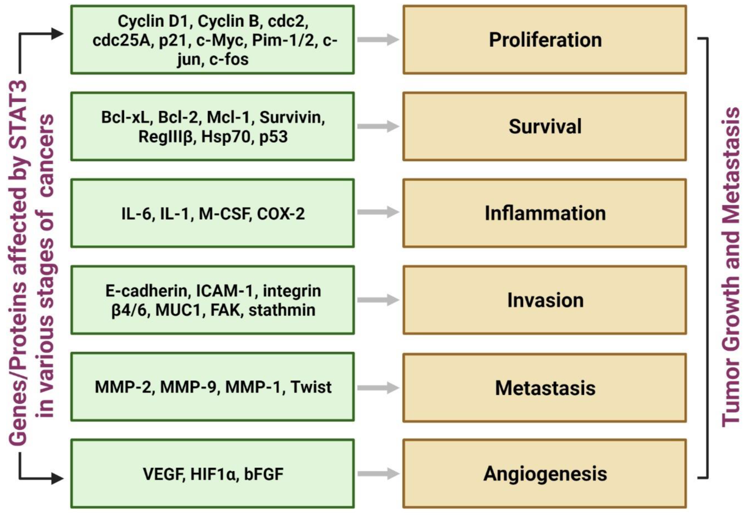 Pharmaceutics 14 01775 g004 Pharmaceutics 14 01775 g004