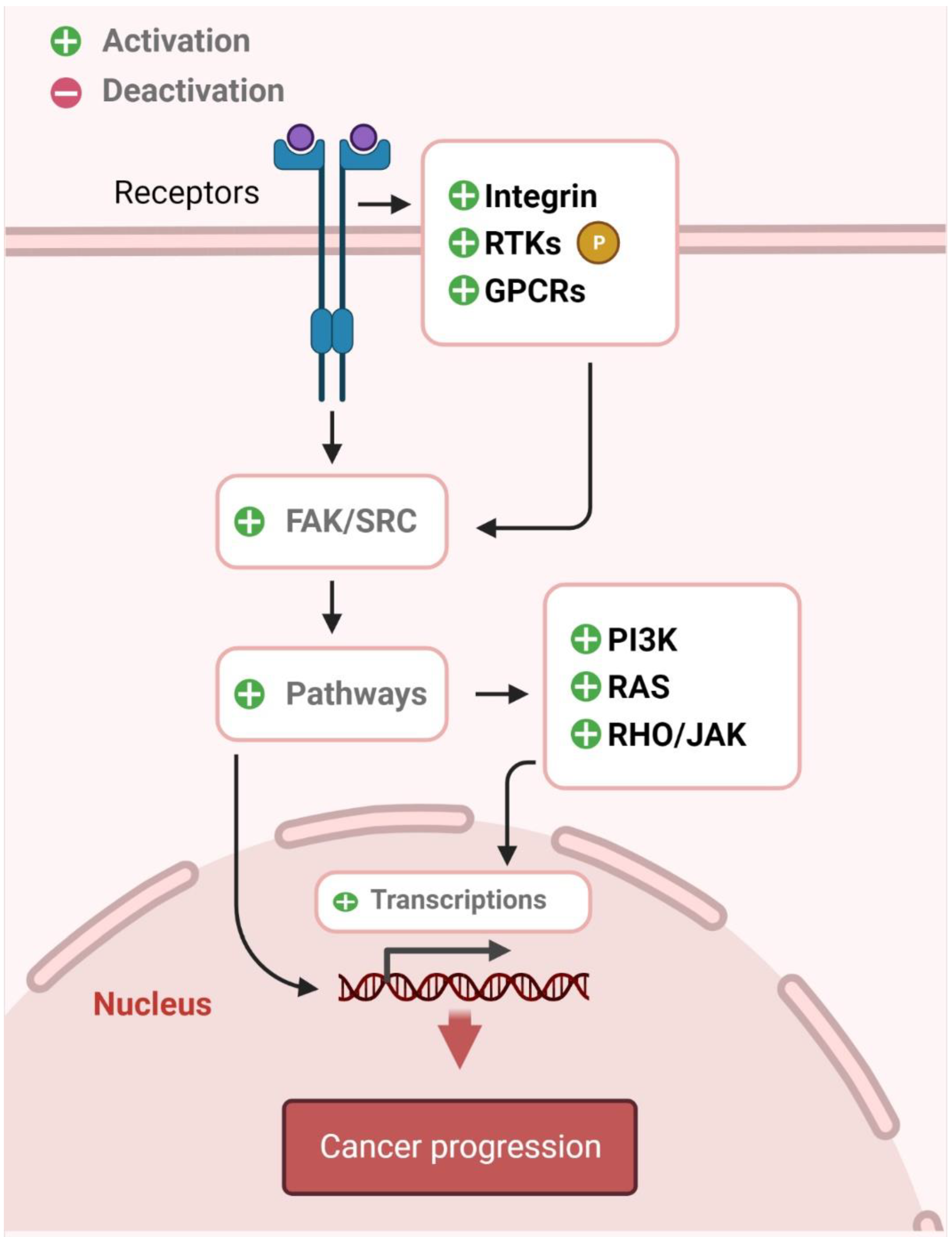 Pharmaceutics 14 01775 g005 Pharmaceutics 14 01775 g005