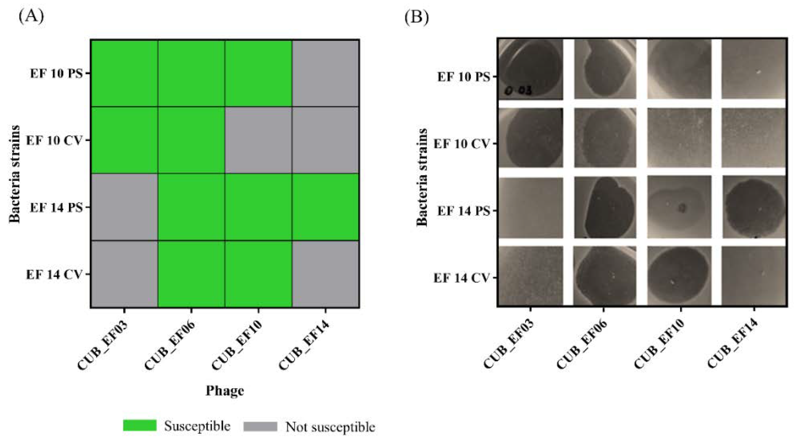 Pharmaceutics 14 01779 g006