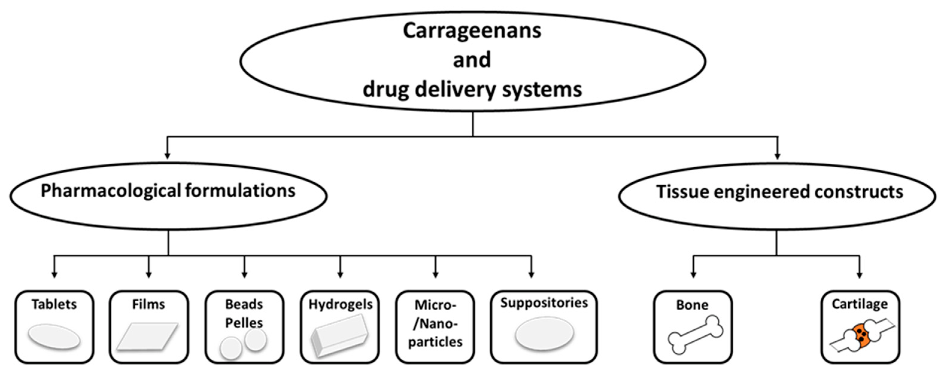 Pharmaceutics 14 01781 g002 550