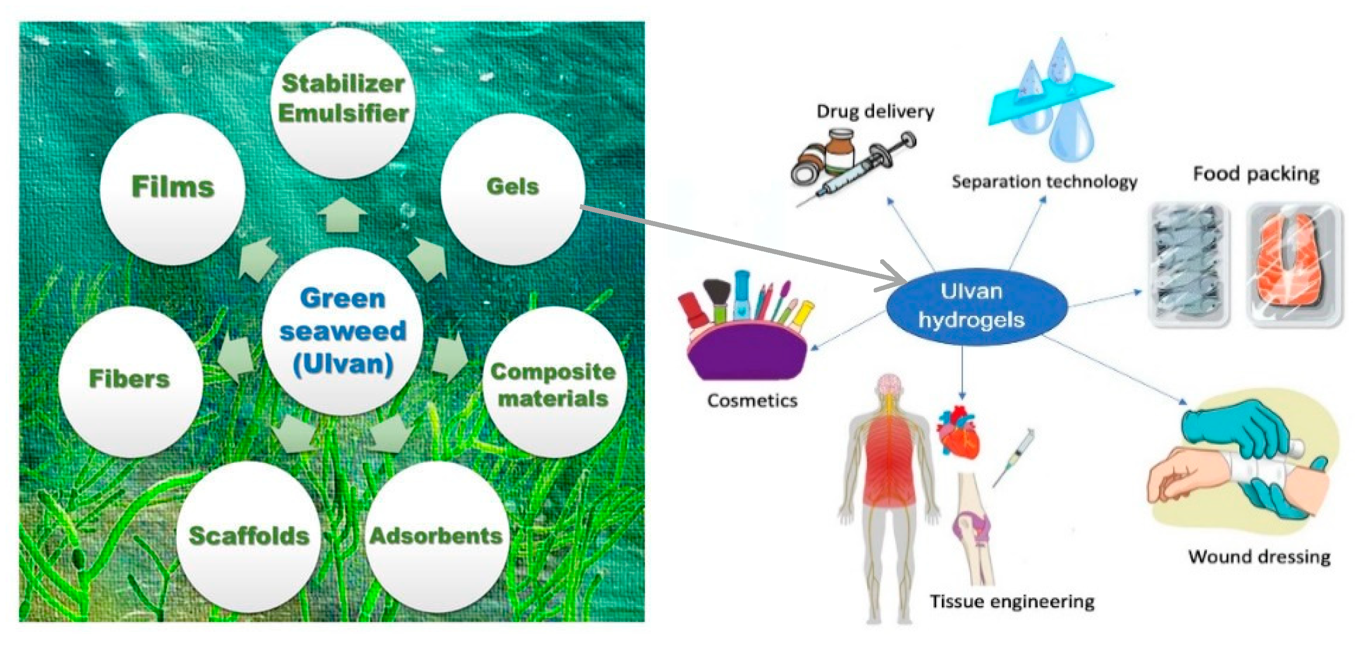 Pharmaceutics 14 01781 g006 550