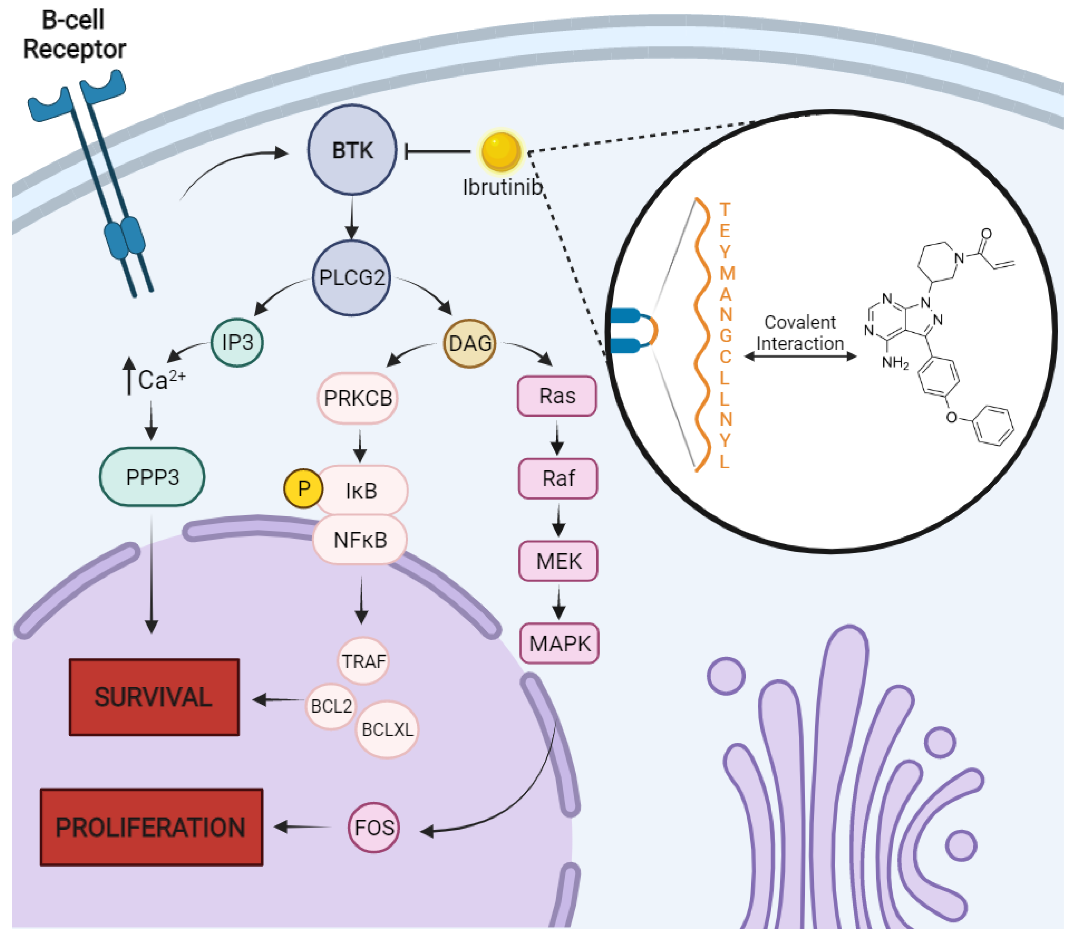 Pharmaceutics 14 01784 g002