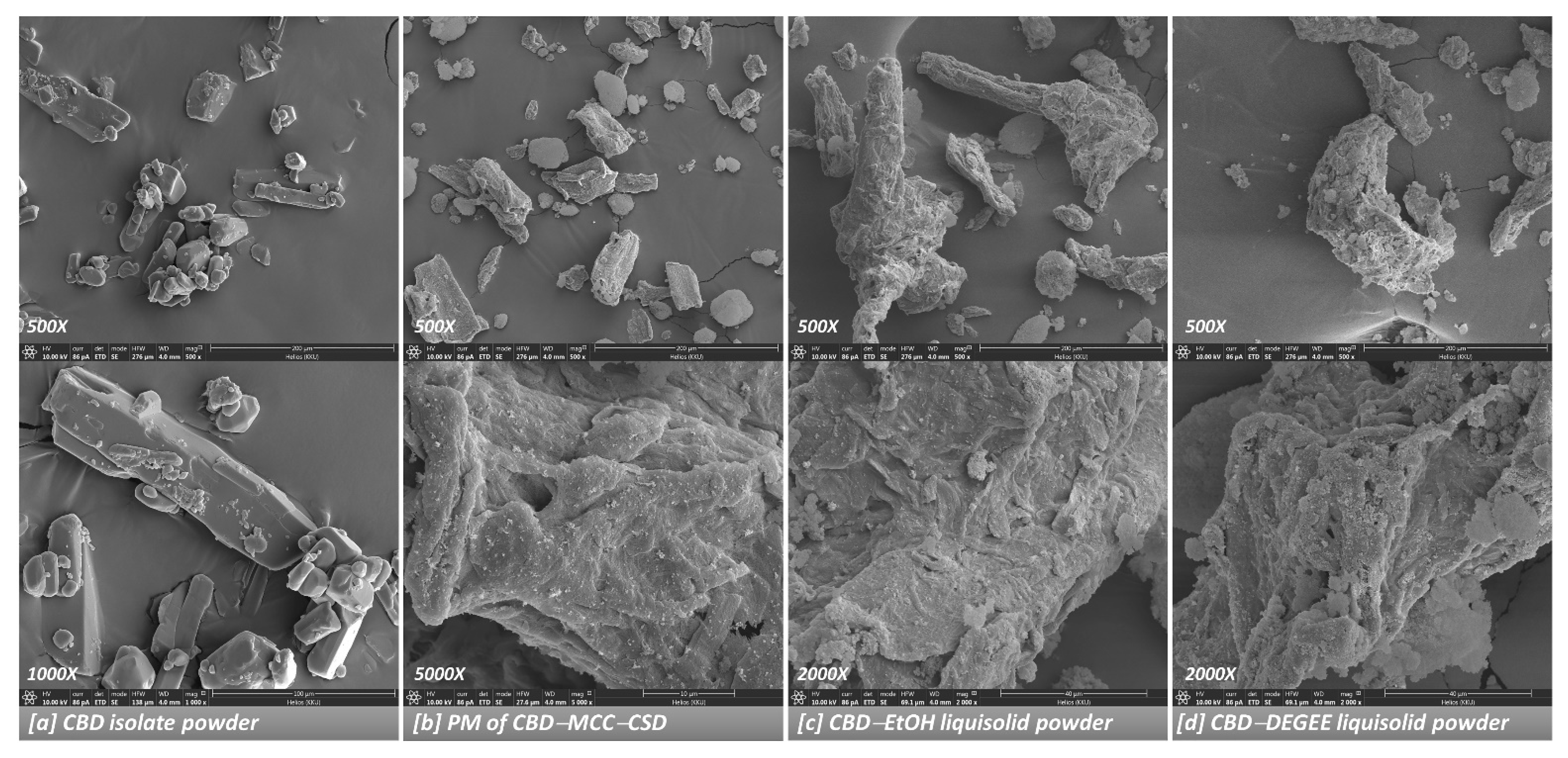 Pharmaceutics 14 01787 g003