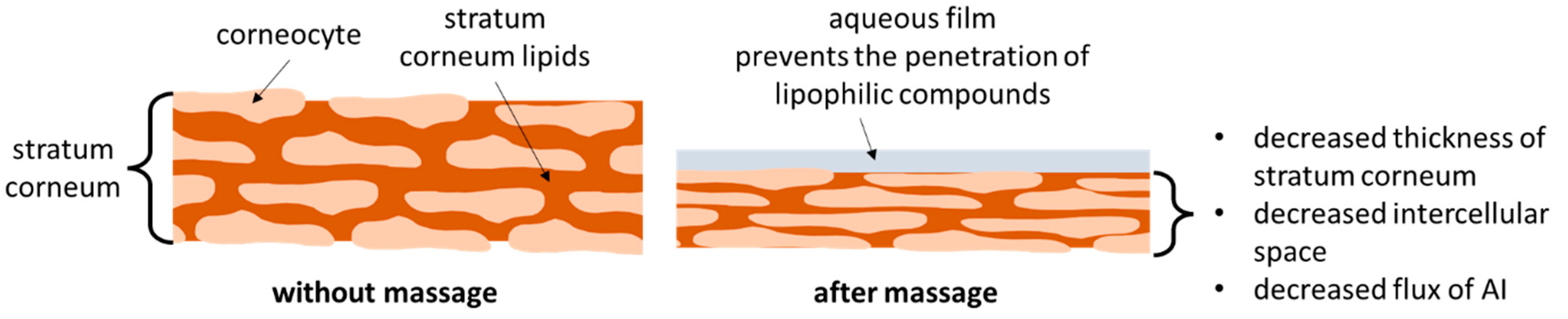 Pharmaceutics 14 01788 g001 550