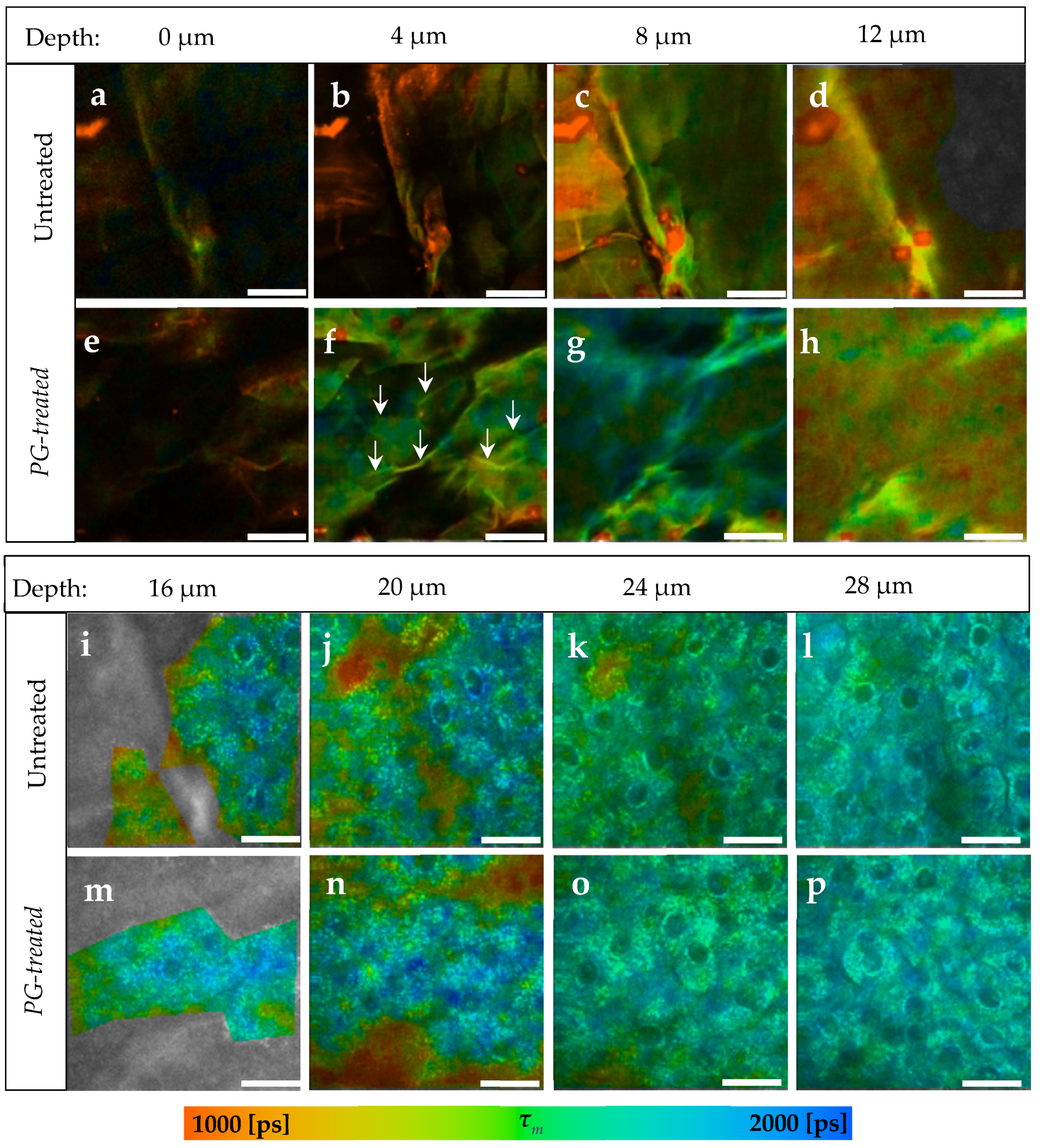 Pharmaceutics 14 01790 g001