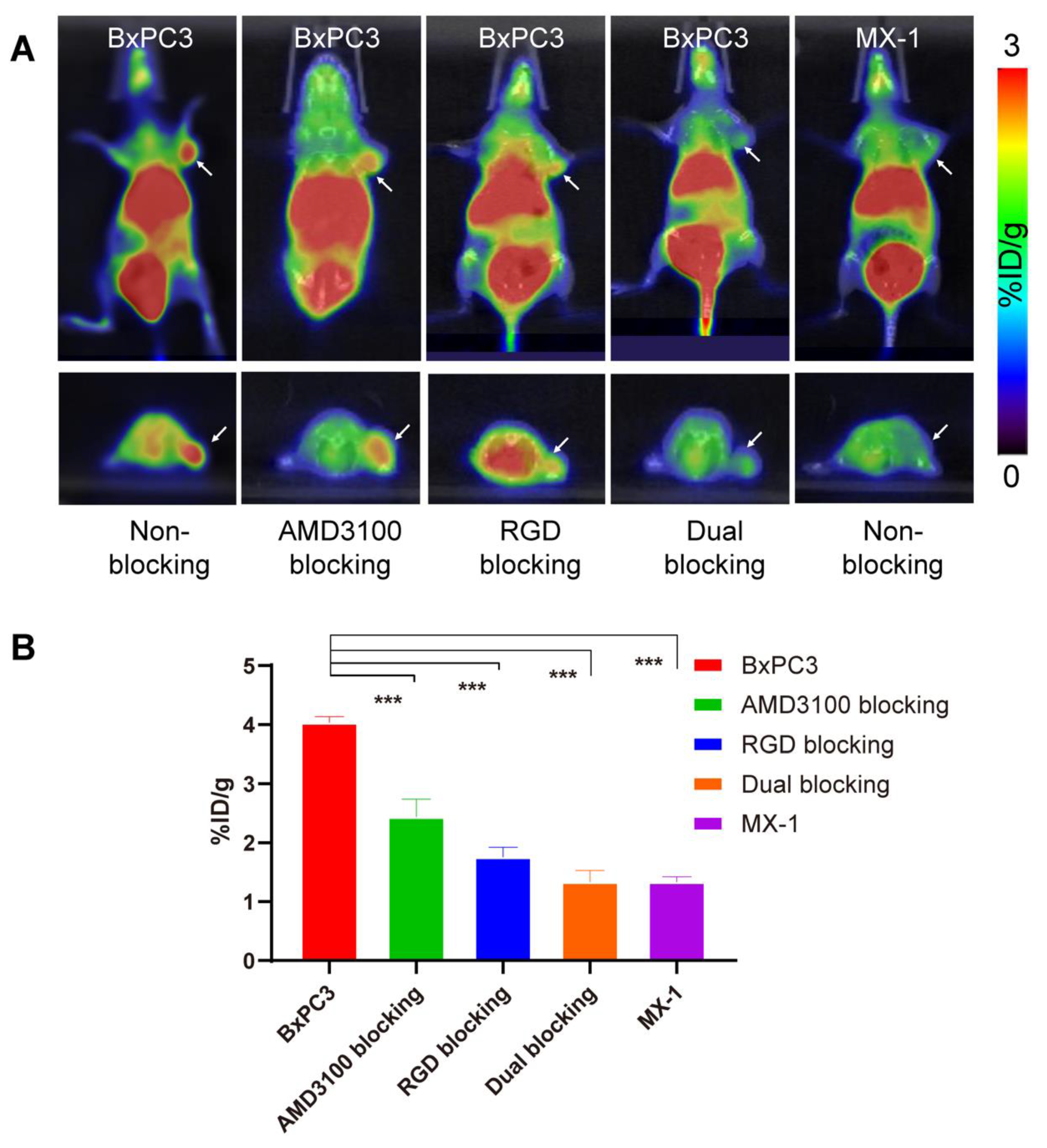 Pharmaceutics 14 01791 g003 Pharmaceutics 14 01791 g003