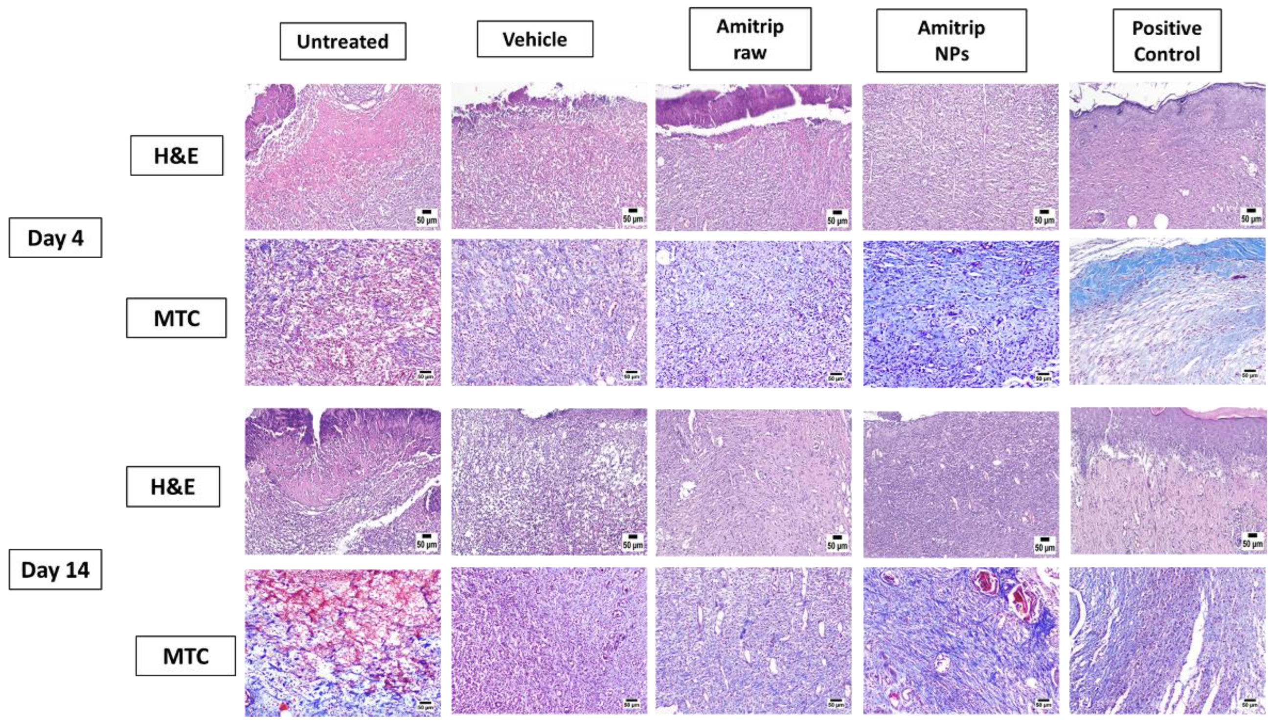 Pharmaceutics 14 01792 g002