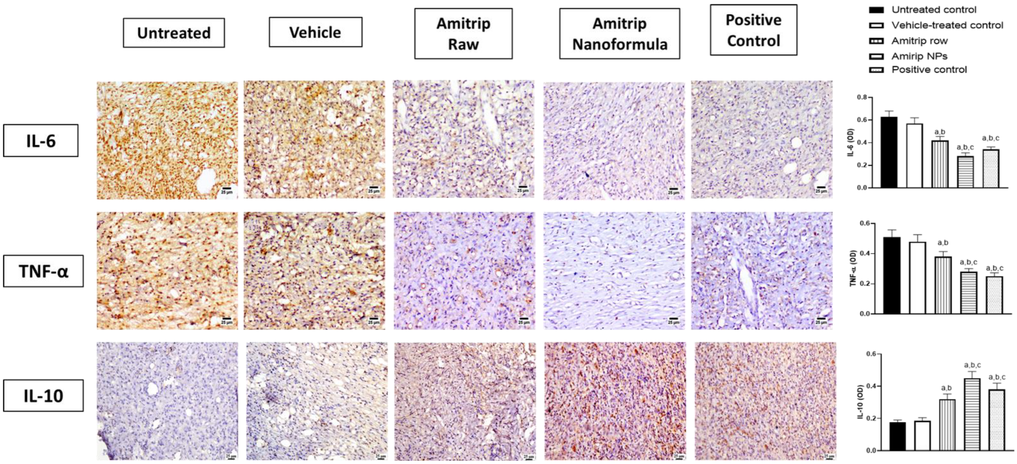 Pharmaceutics 14 01792 g003
