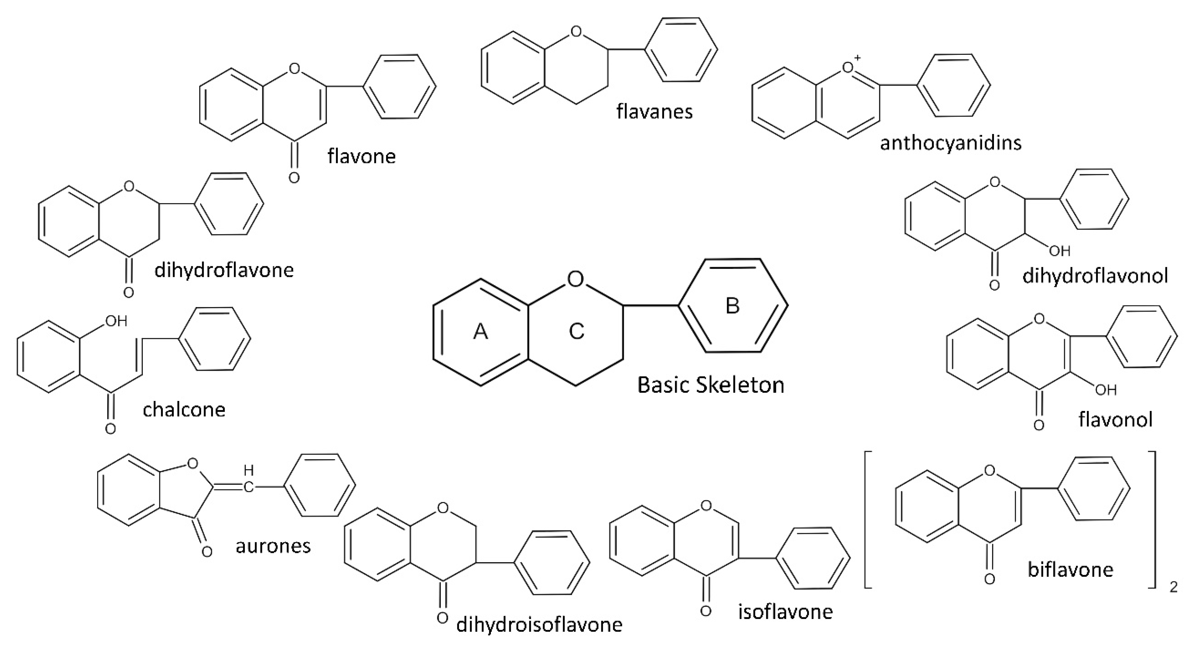 Pharmaceutics 14 01793 g001 550