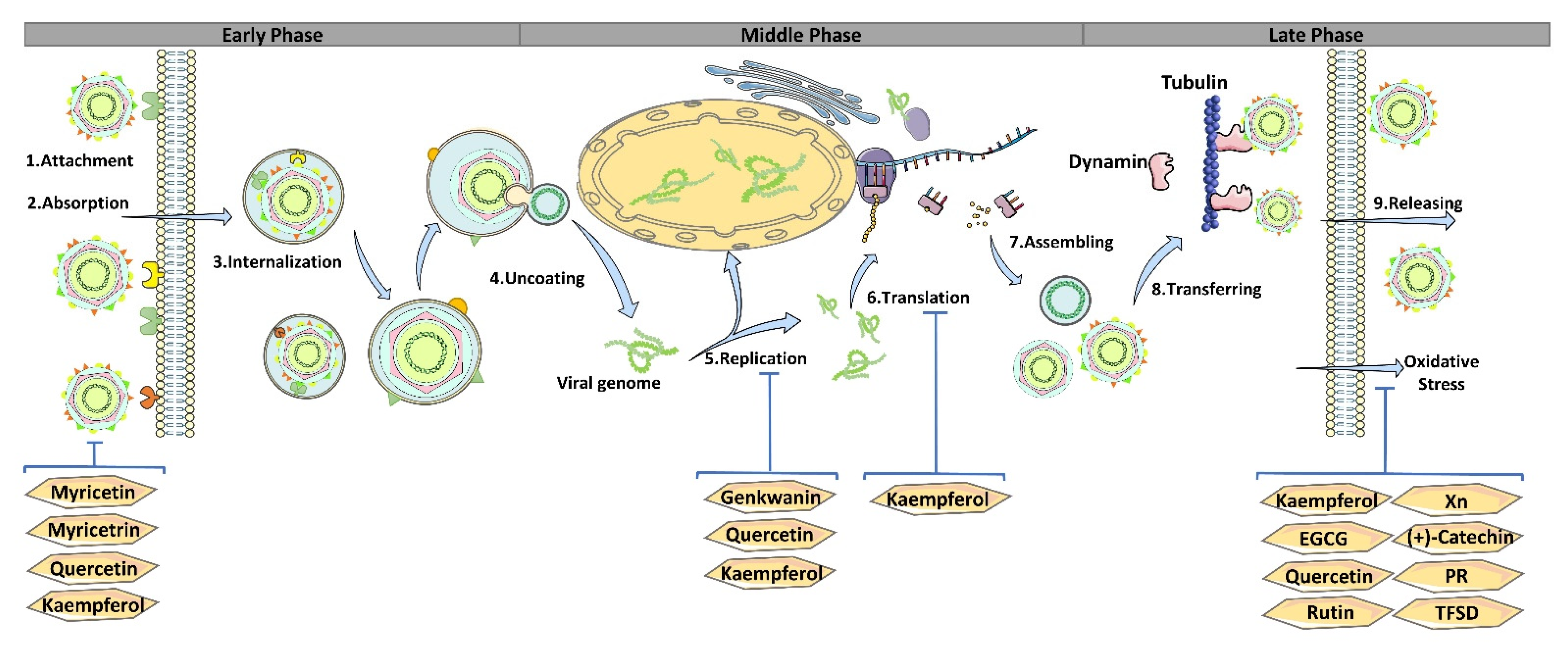 Pharmaceutics 14 01793 g002 550