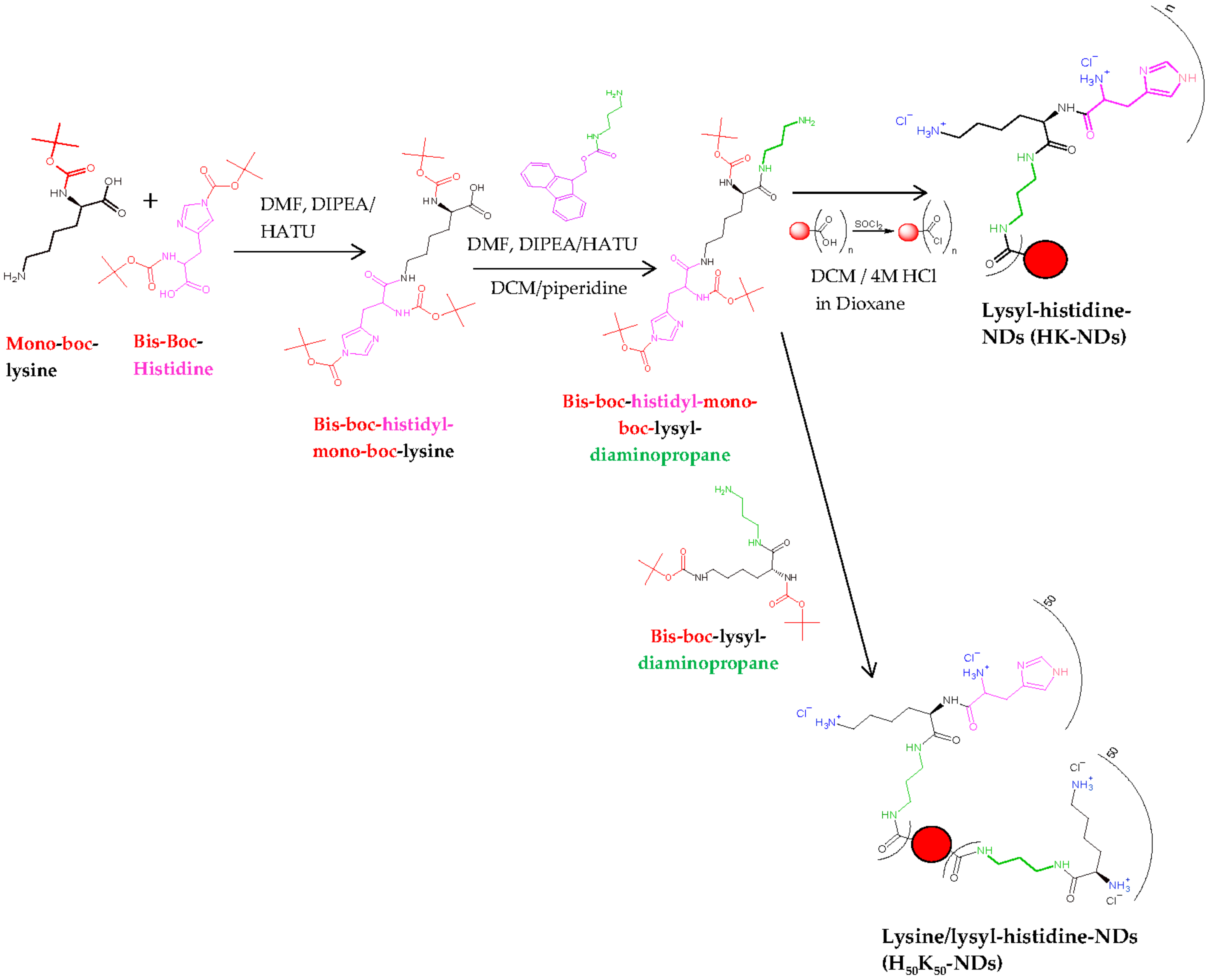 Pharmaceutics 14 01794 g001