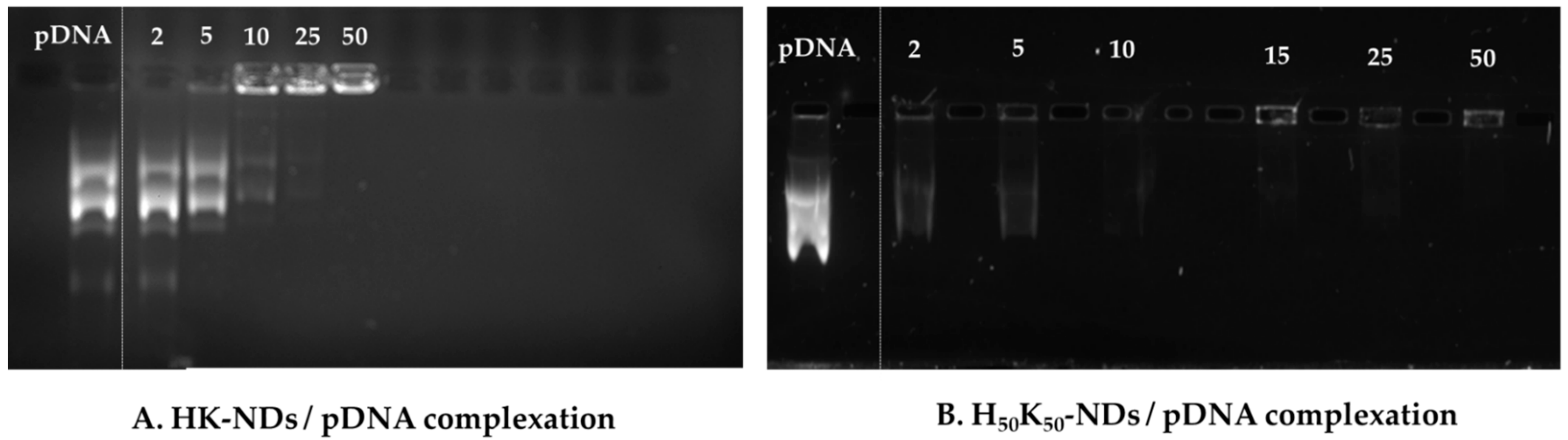 Pharmaceutics 14 01794 g004