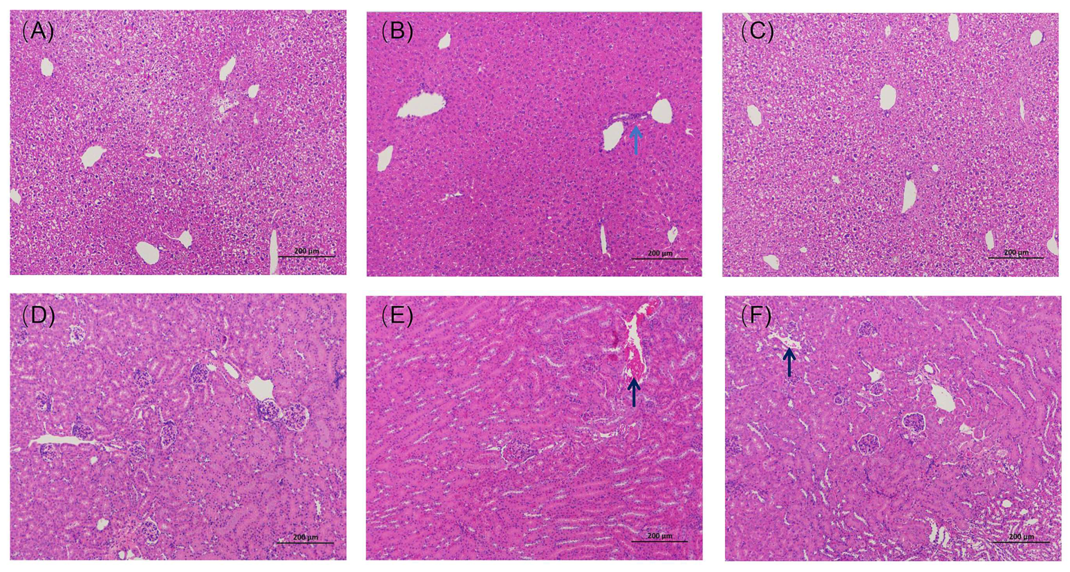 Pharmaceutics 14 01797 g009