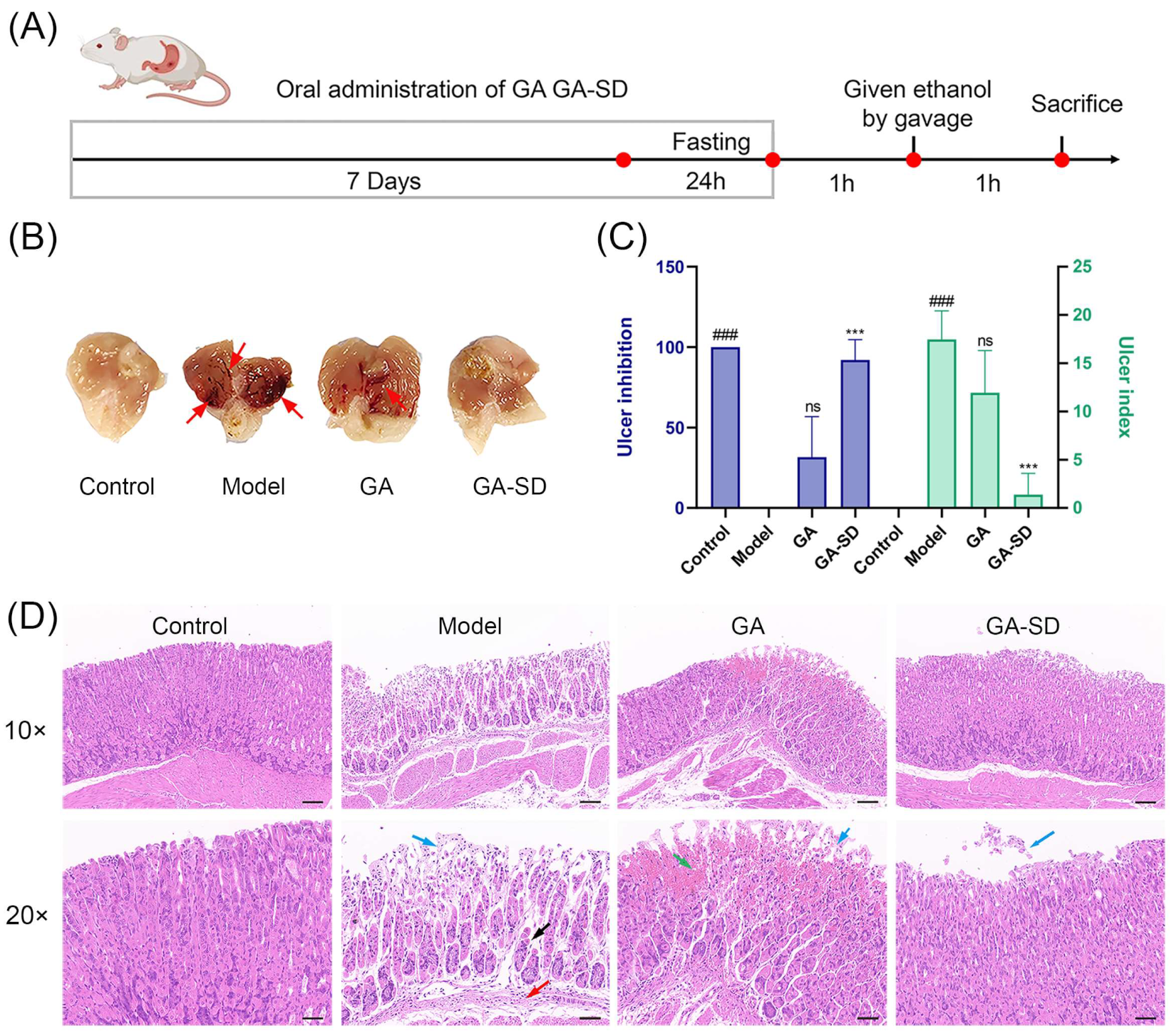 Pharmaceutics 14 01797 g011
