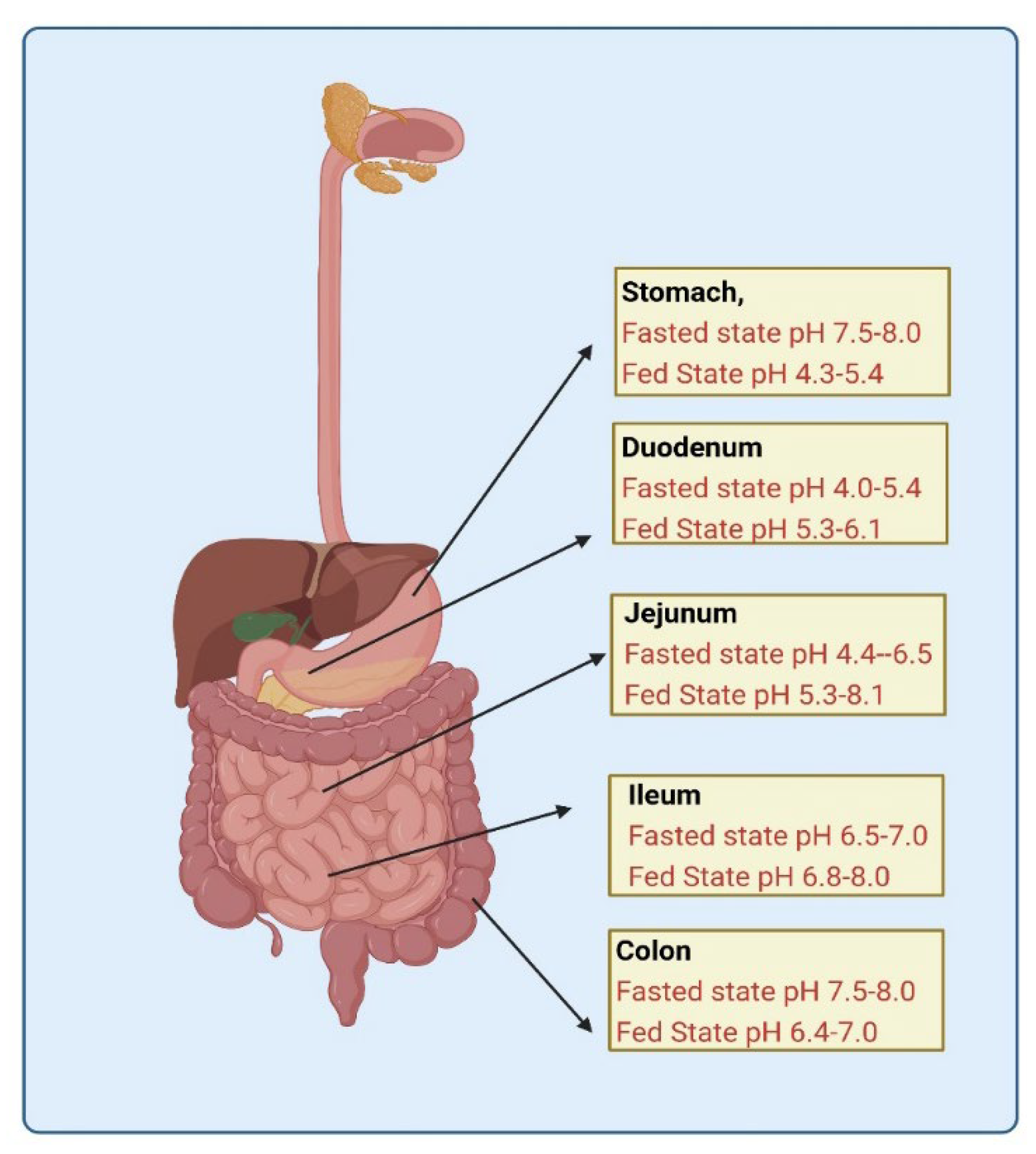 Pharmaceutics 14 01807 g003