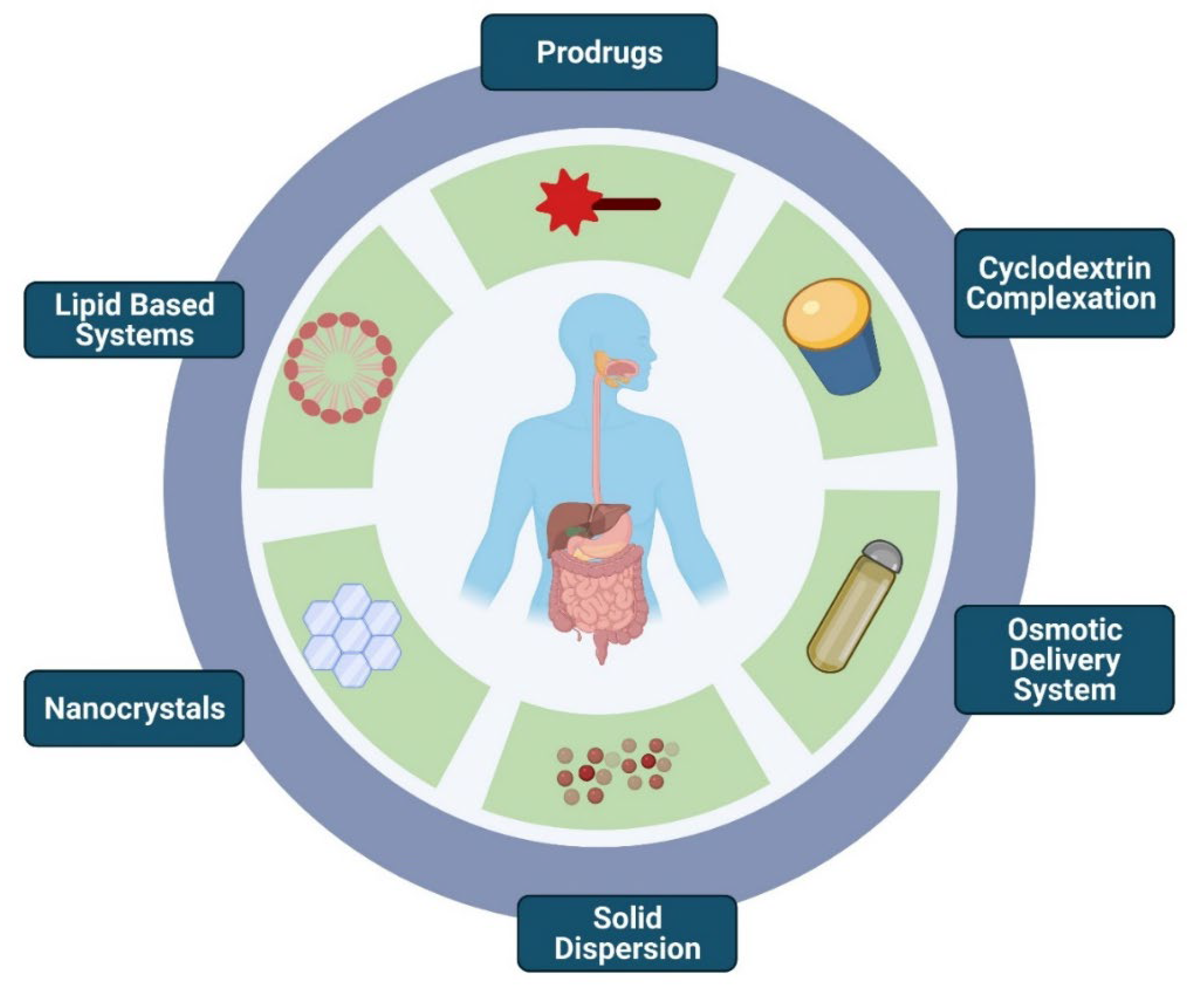 Pharmaceutics 14 01807 g006
