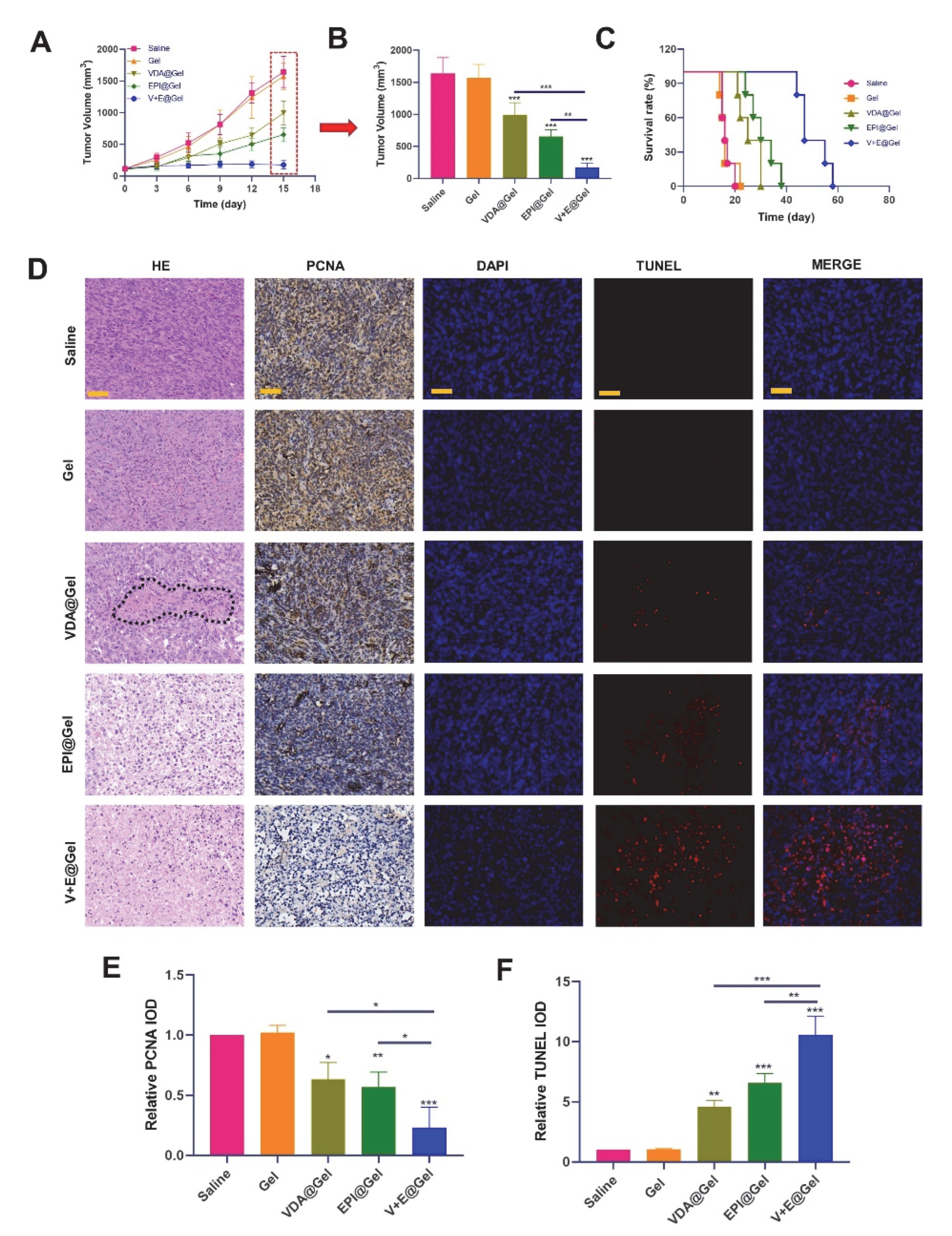 Pharmaceutics 14 01809 g002