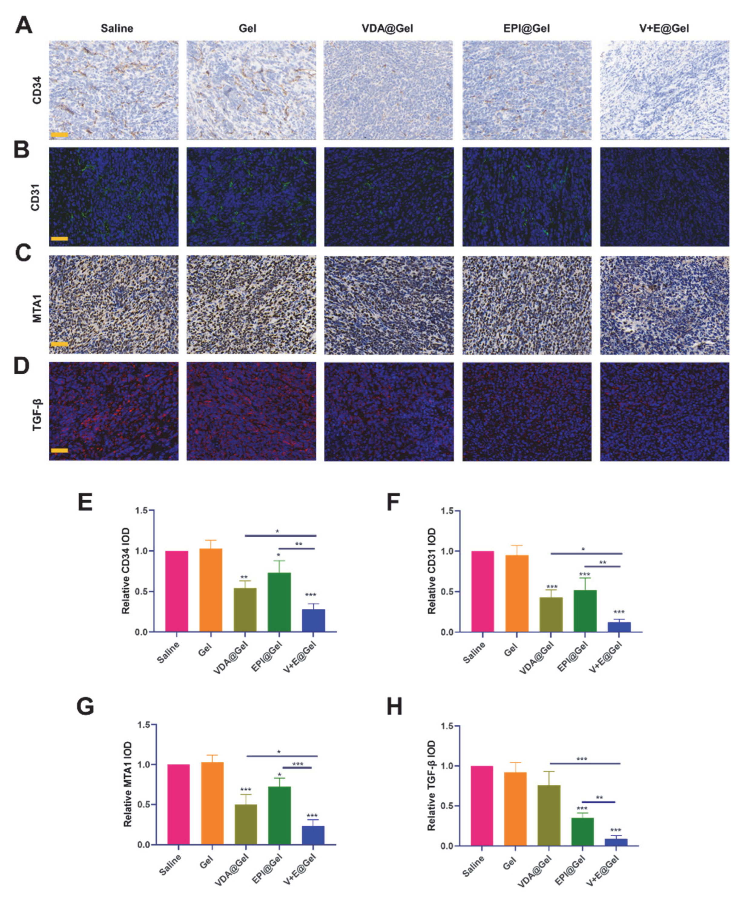Pharmaceutics 14 01809 g003