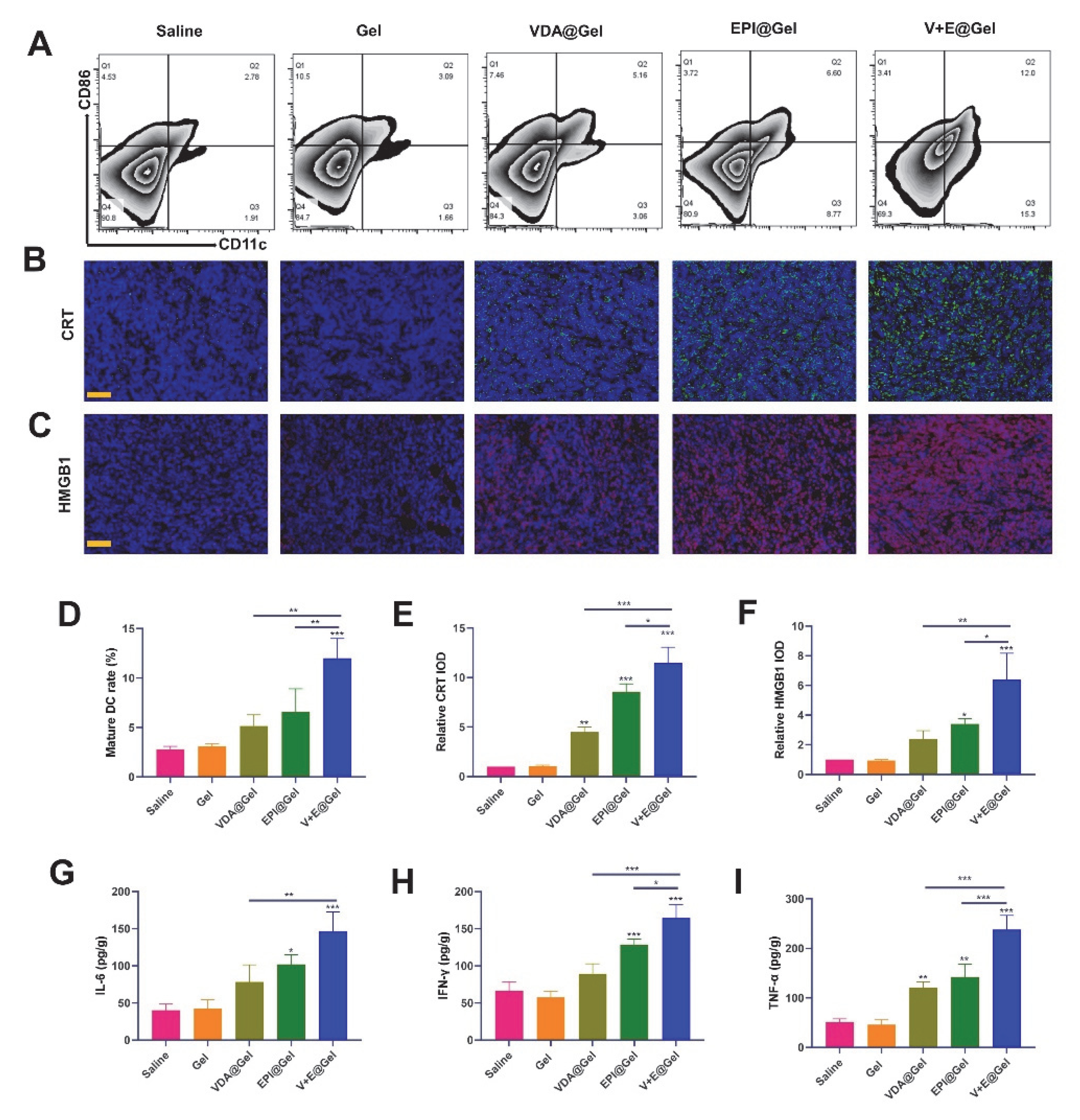 Pharmaceutics 14 01809 g004