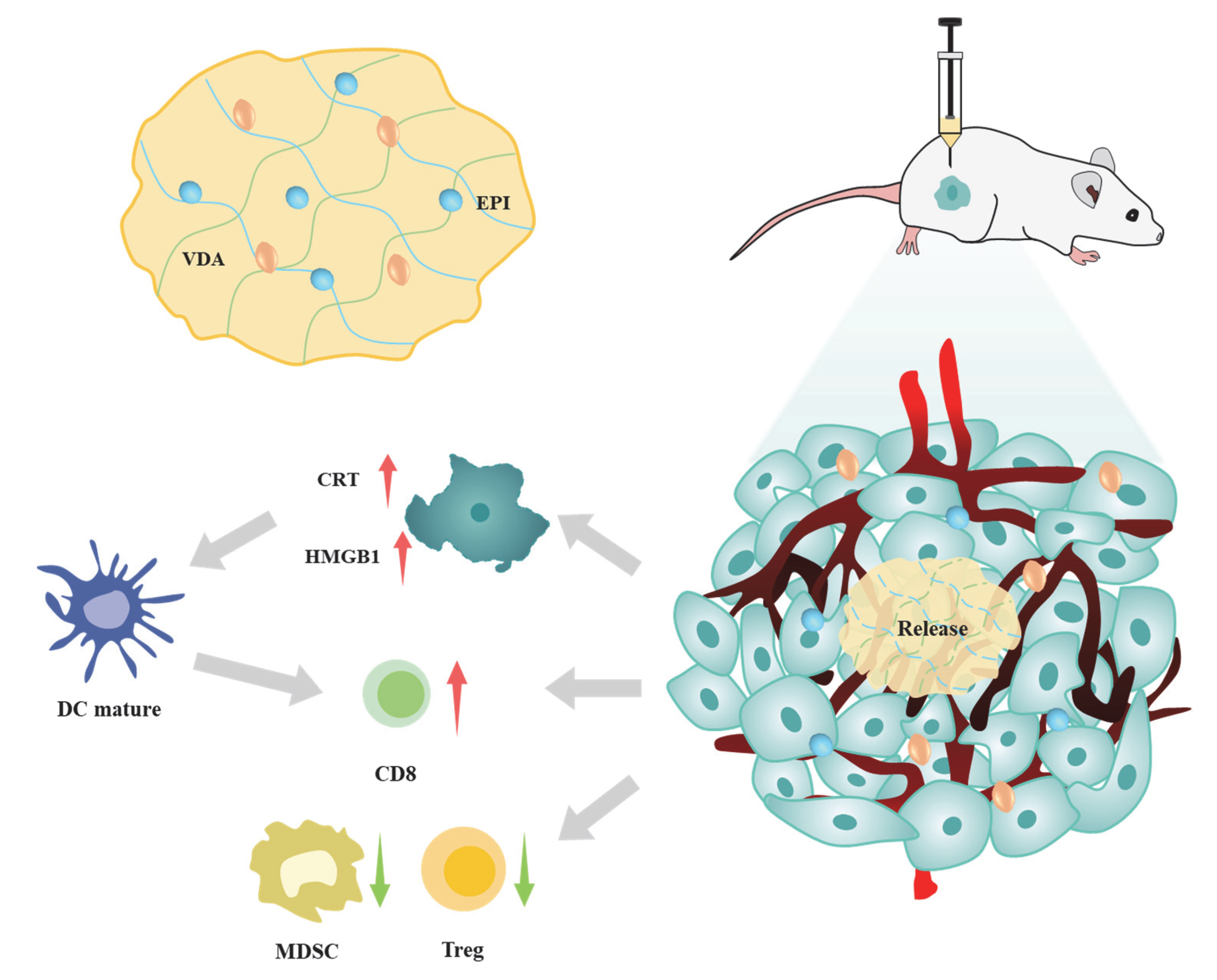 Pharmaceutics 14 01809 sch001