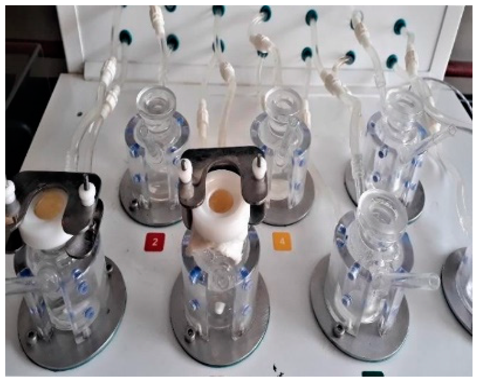 Pharmaceutics 14 01812 g001