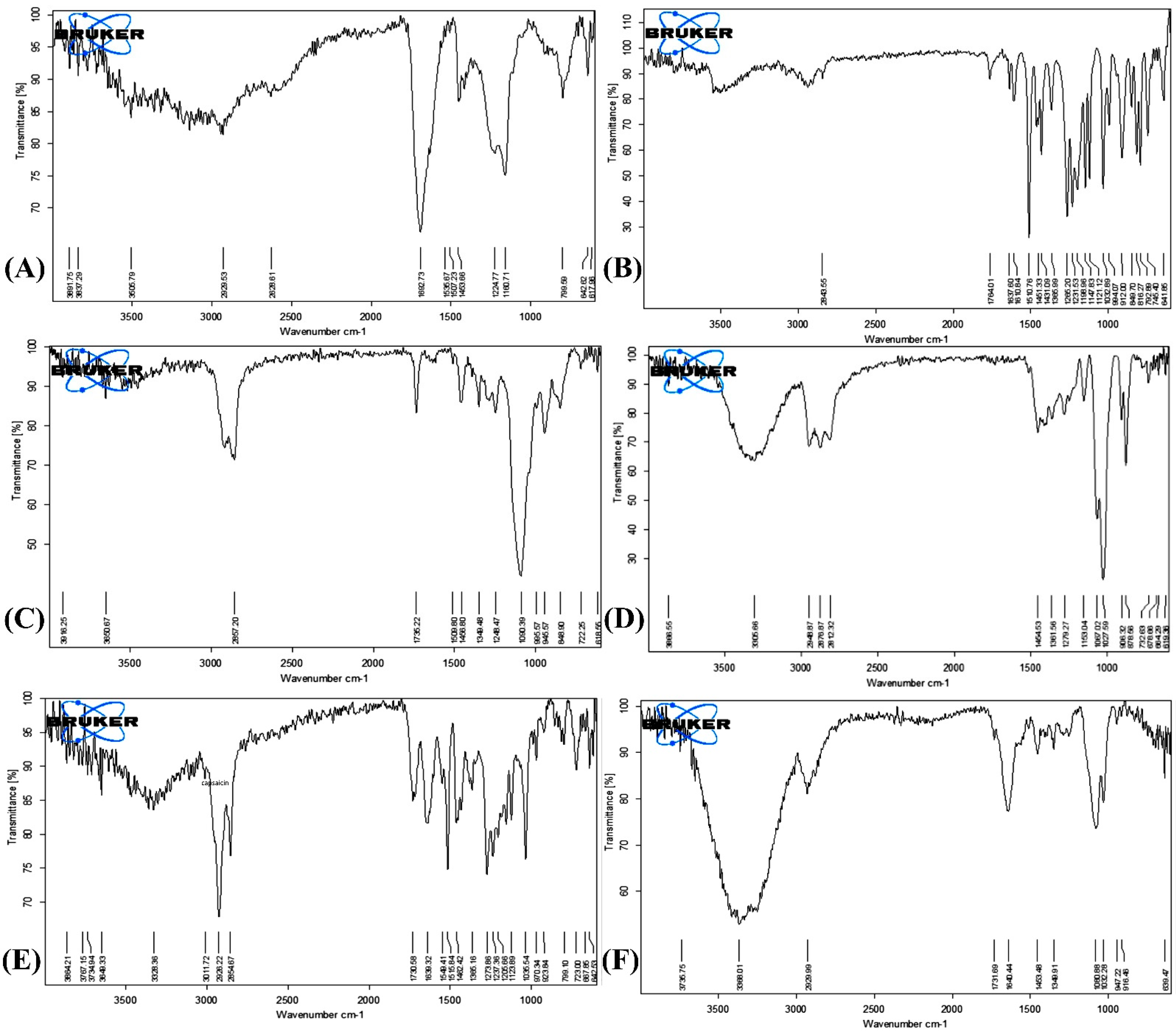 Pharmaceutics 14 01812 g003