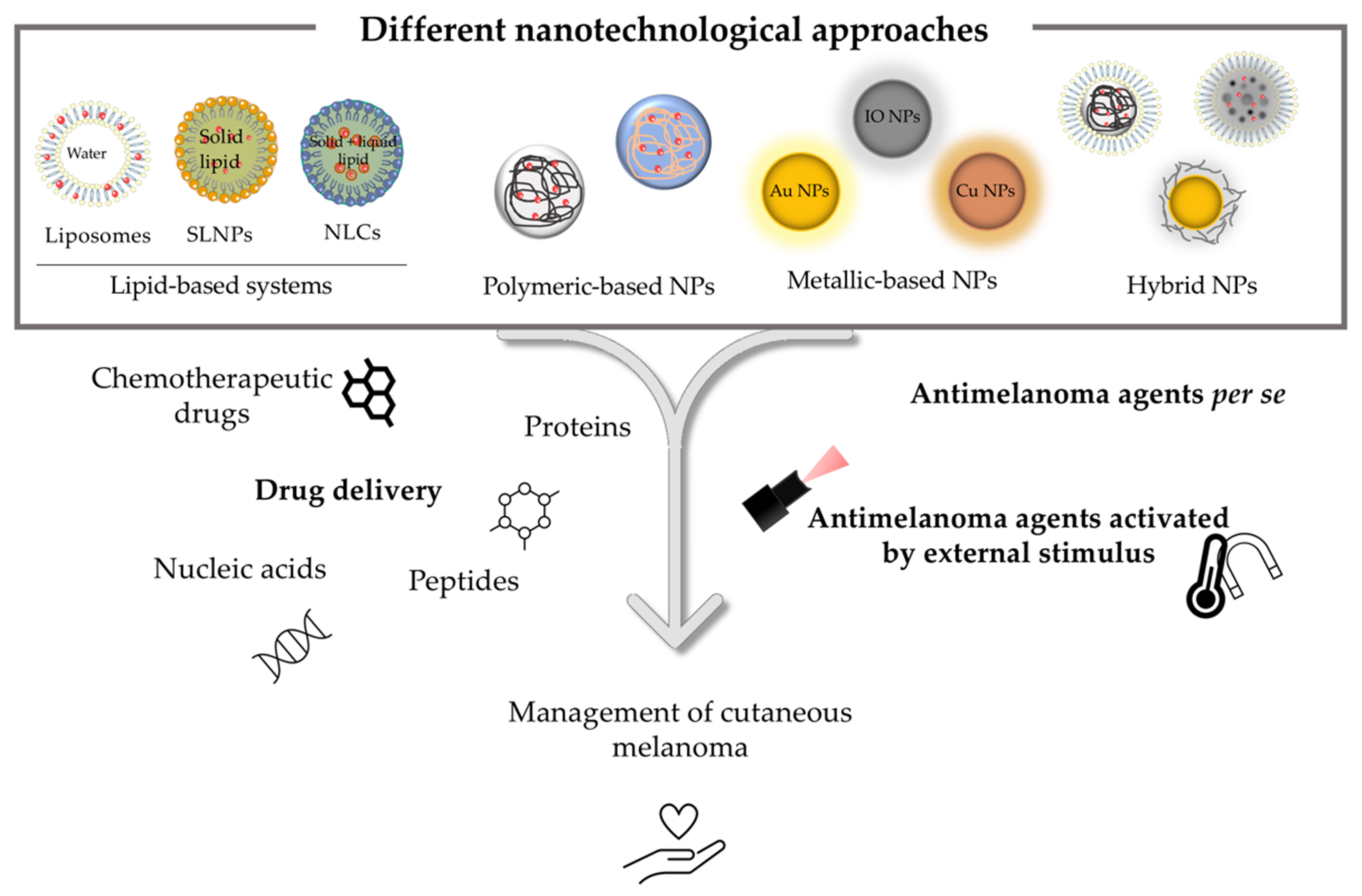 Pharmaceutics 14 01817 g002