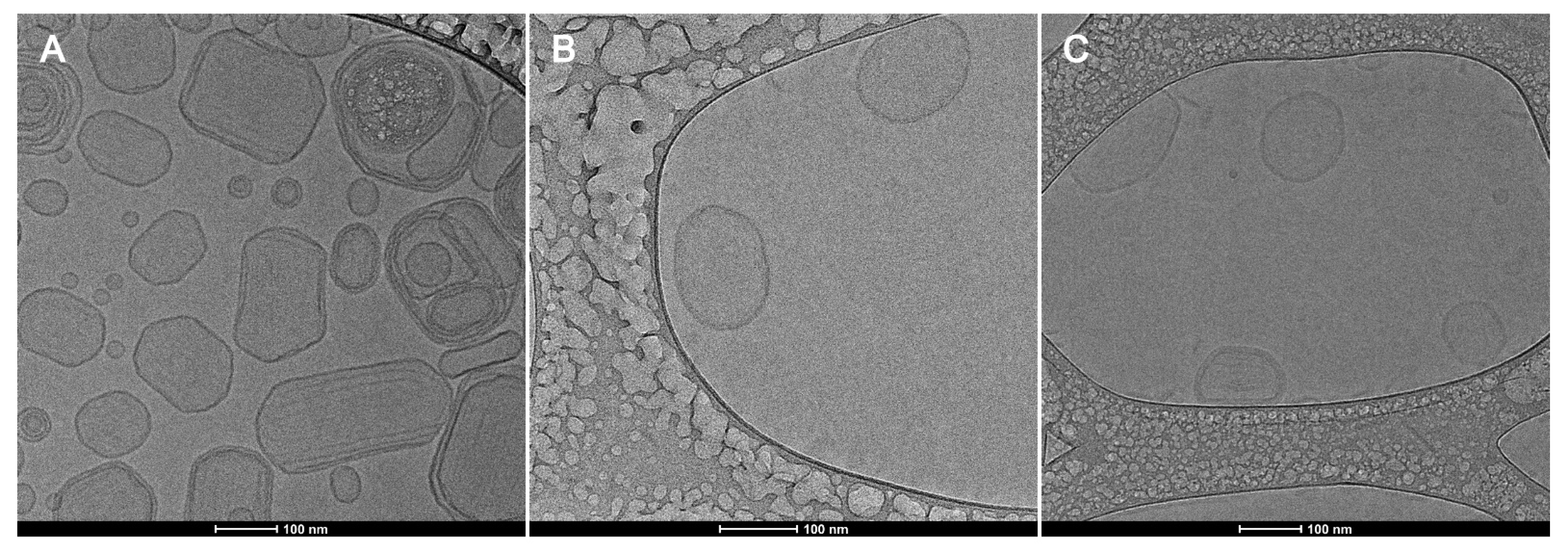 Pharmaceutics 14 01819 g008 550