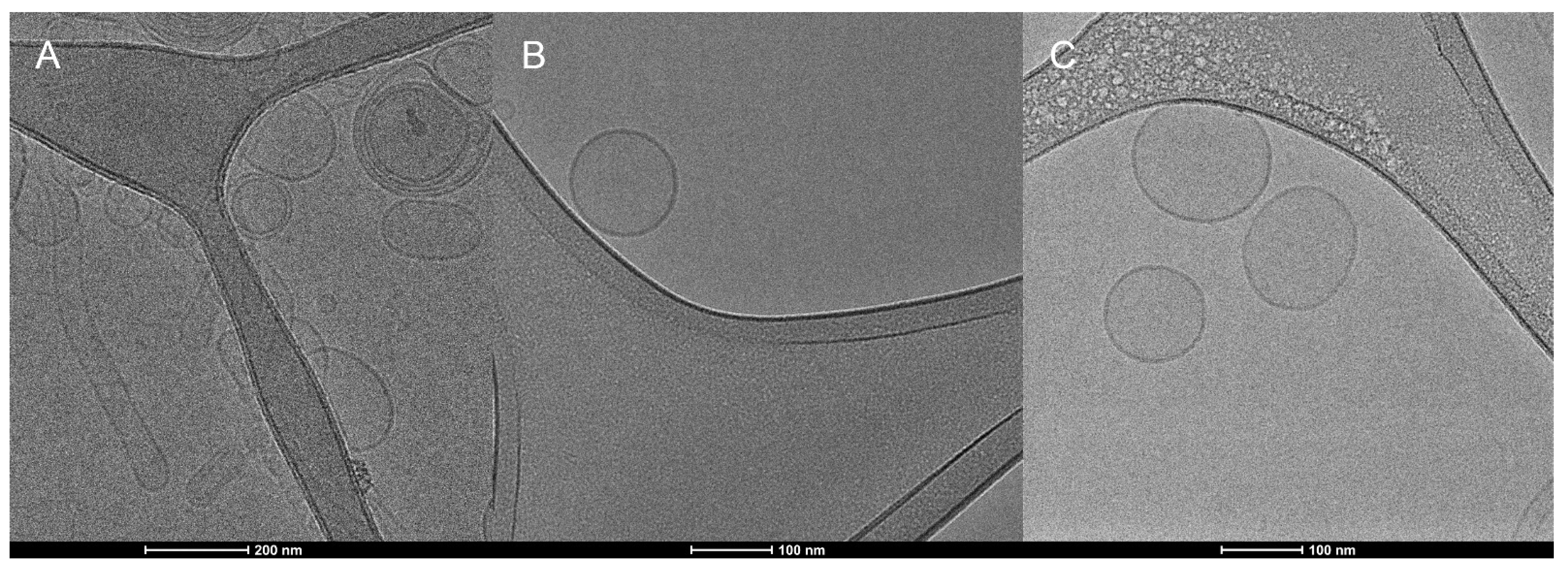 Pharmaceutics 14 01819 g009 550