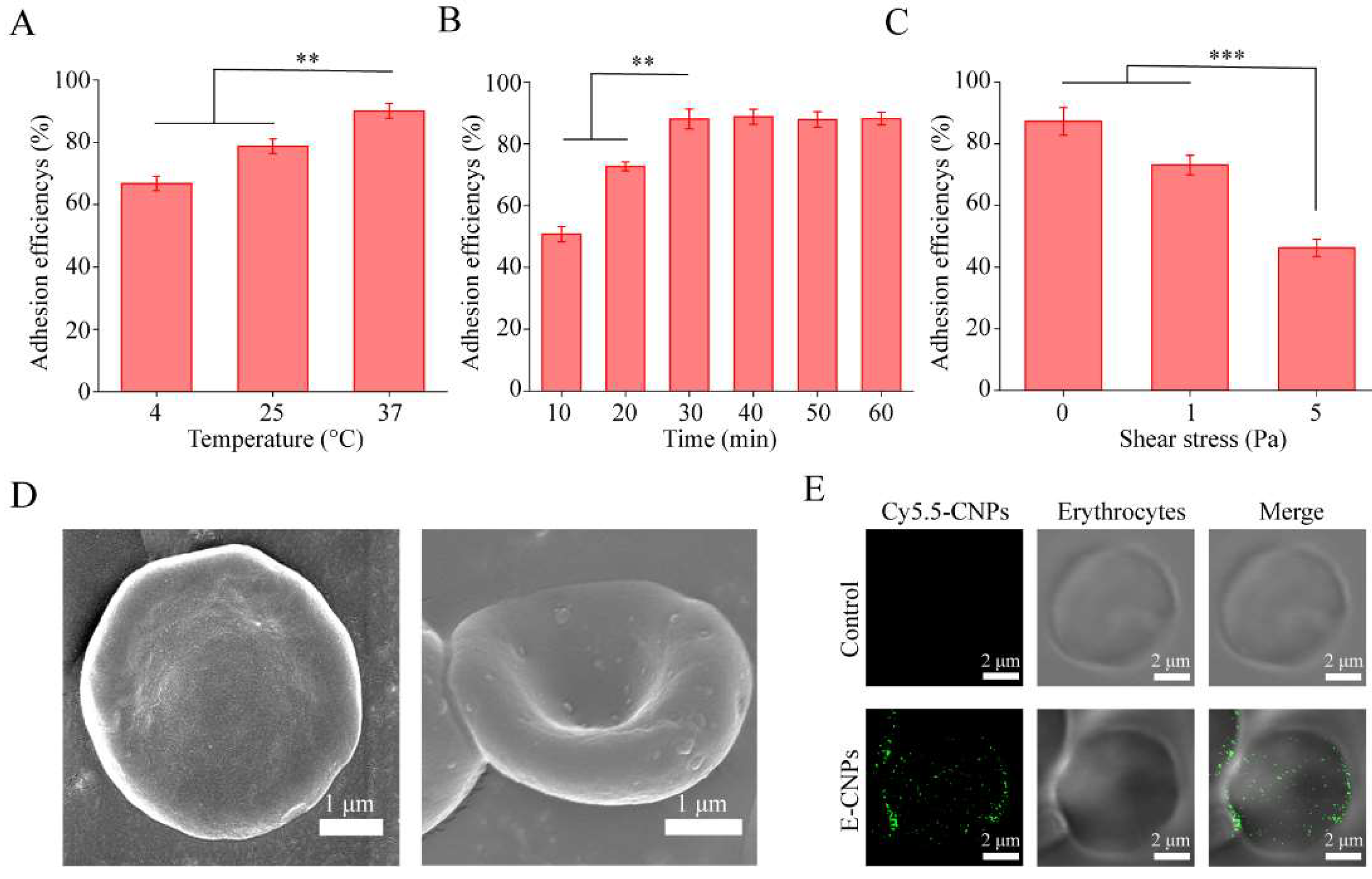 Pharmaceutics 14 01820 g003 550
