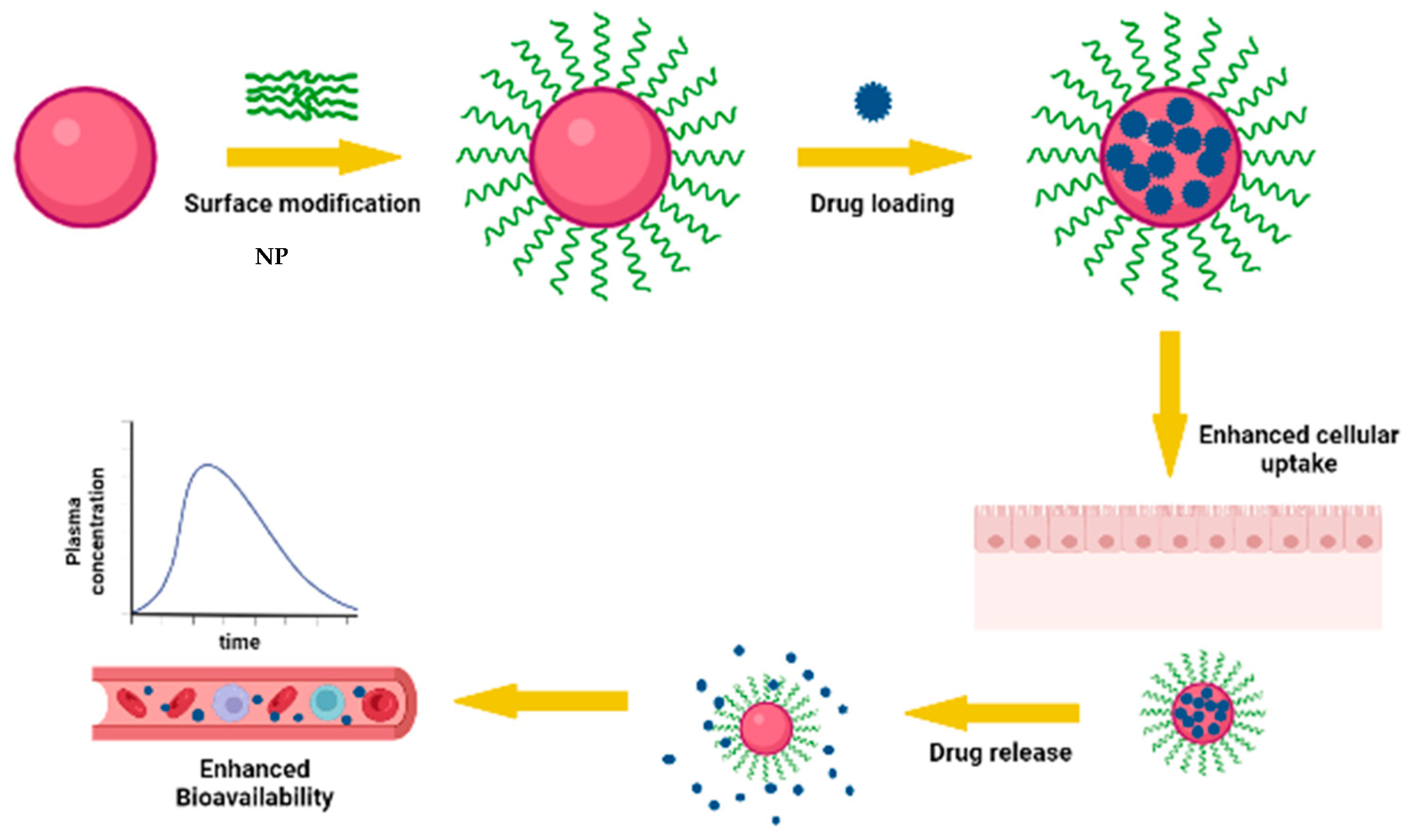 Pharmaceutics 14 01823 g003