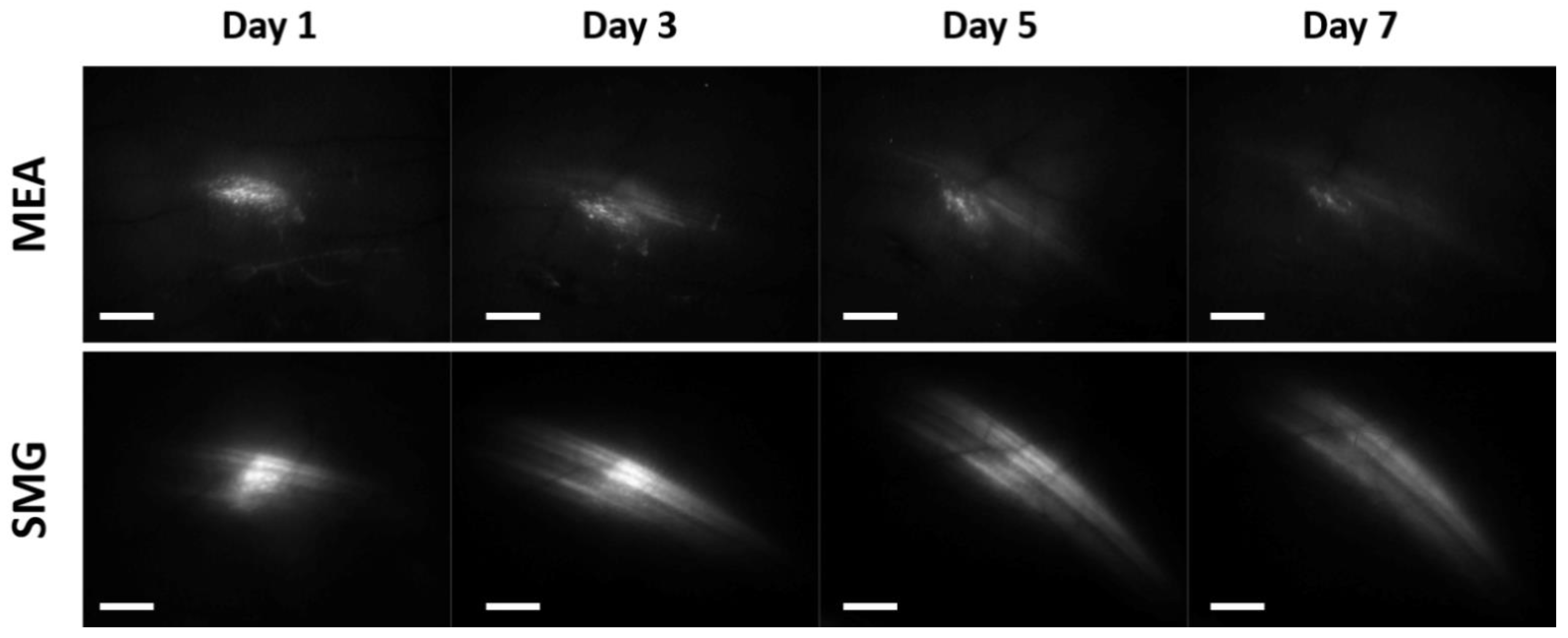 Pharmaceutics 14 01826 g006