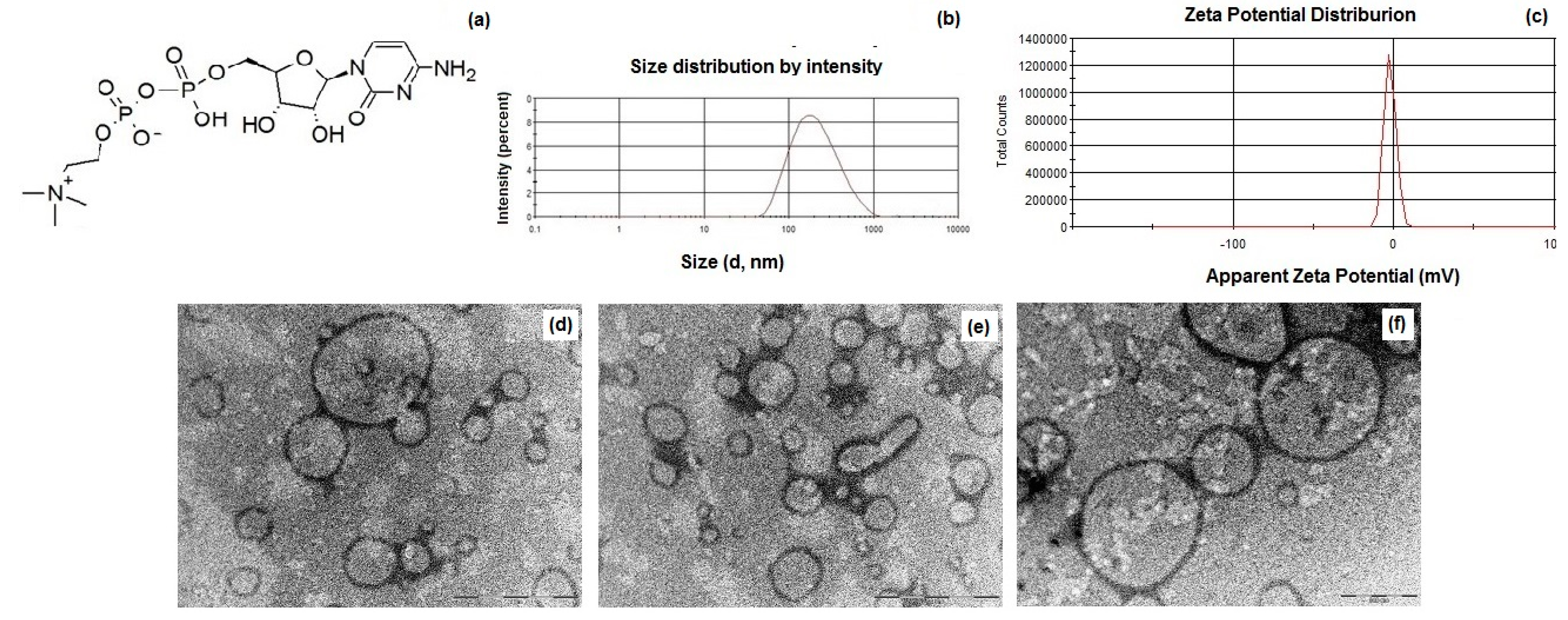 Pharmaceutics 14 01827 g001