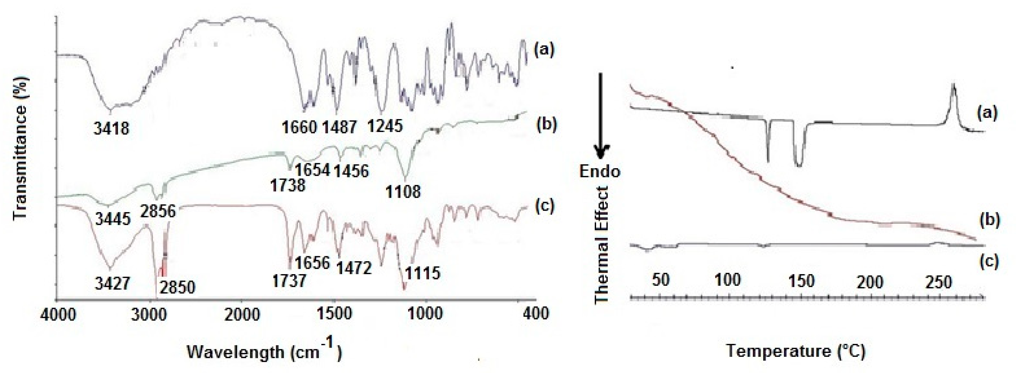 Pharmaceutics 14 01827 g002