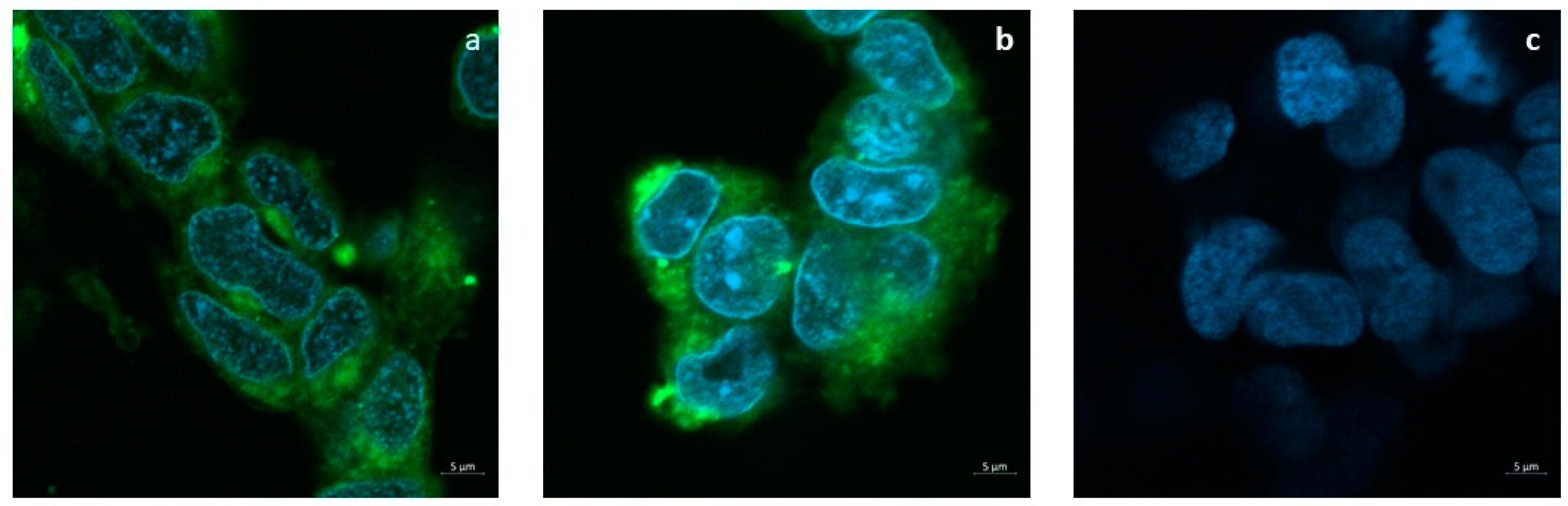 Pharmaceutics 14 01827 g005