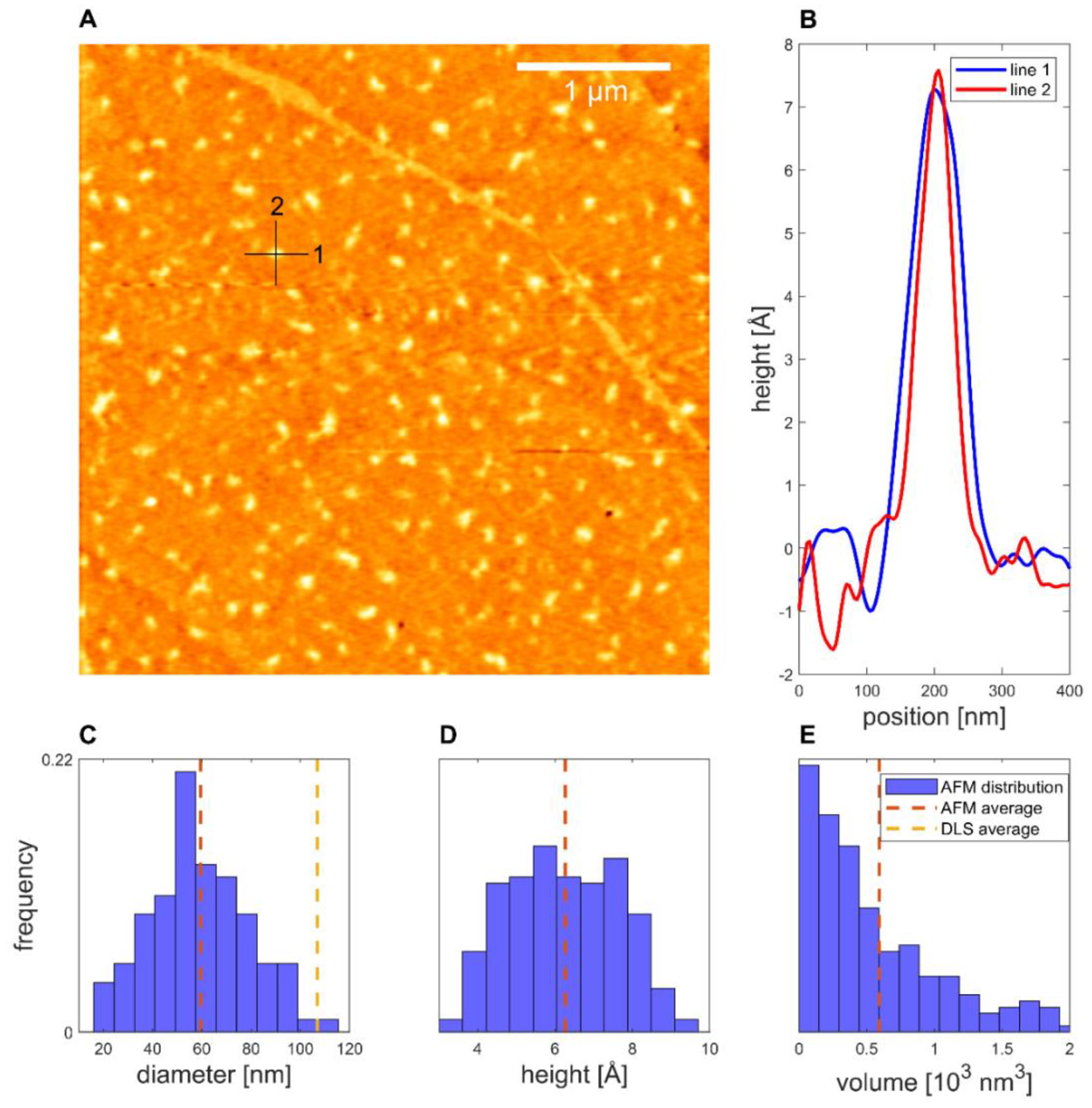 Pharmaceutics 14 01829 g006 550