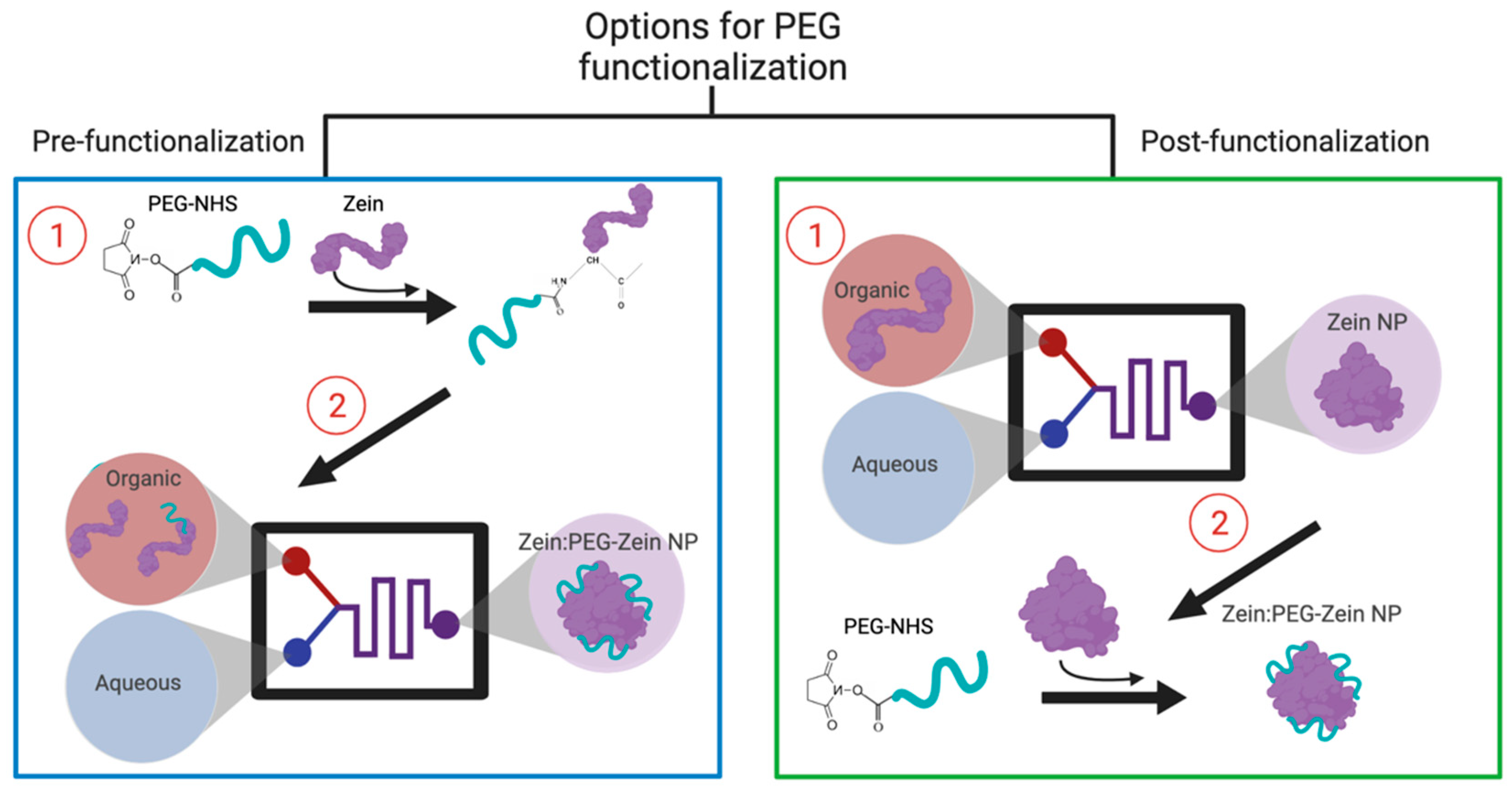 Pharmaceutics 14 01831 g002 550