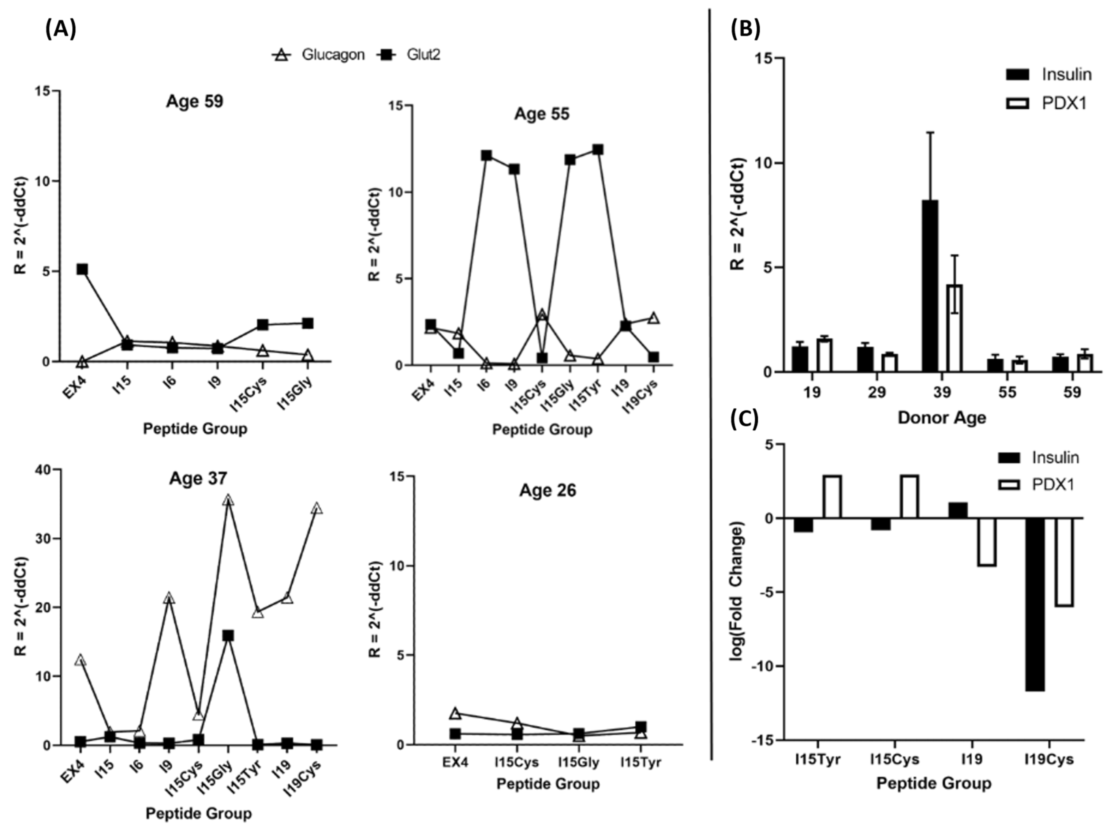 Pharmaceutics 14 01833 g006