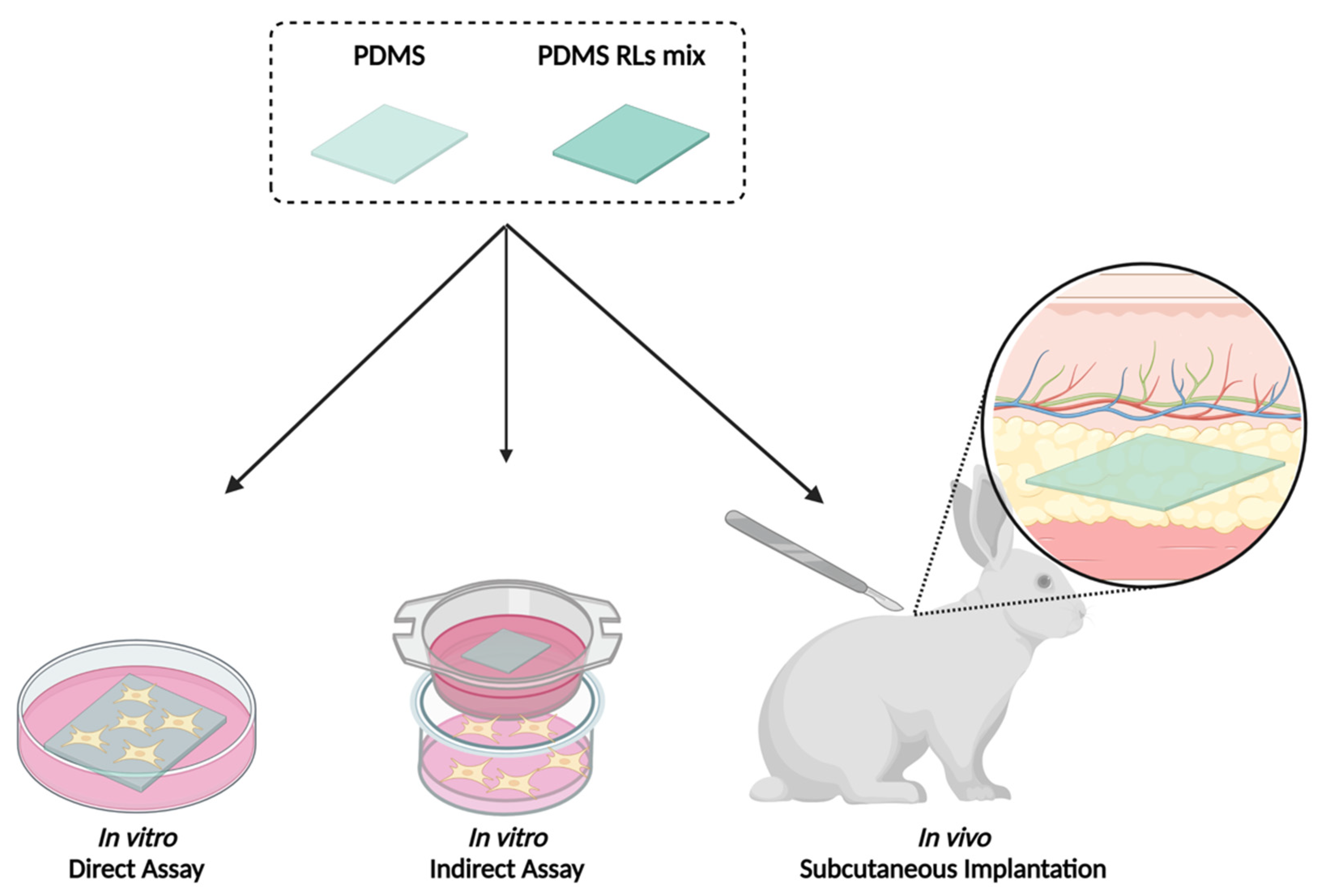 Pharmaceutics 14 01836 g002