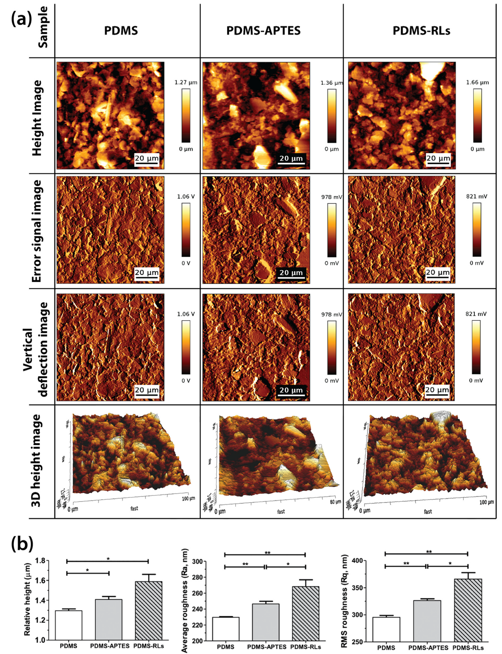 Pharmaceutics 14 01836 g003